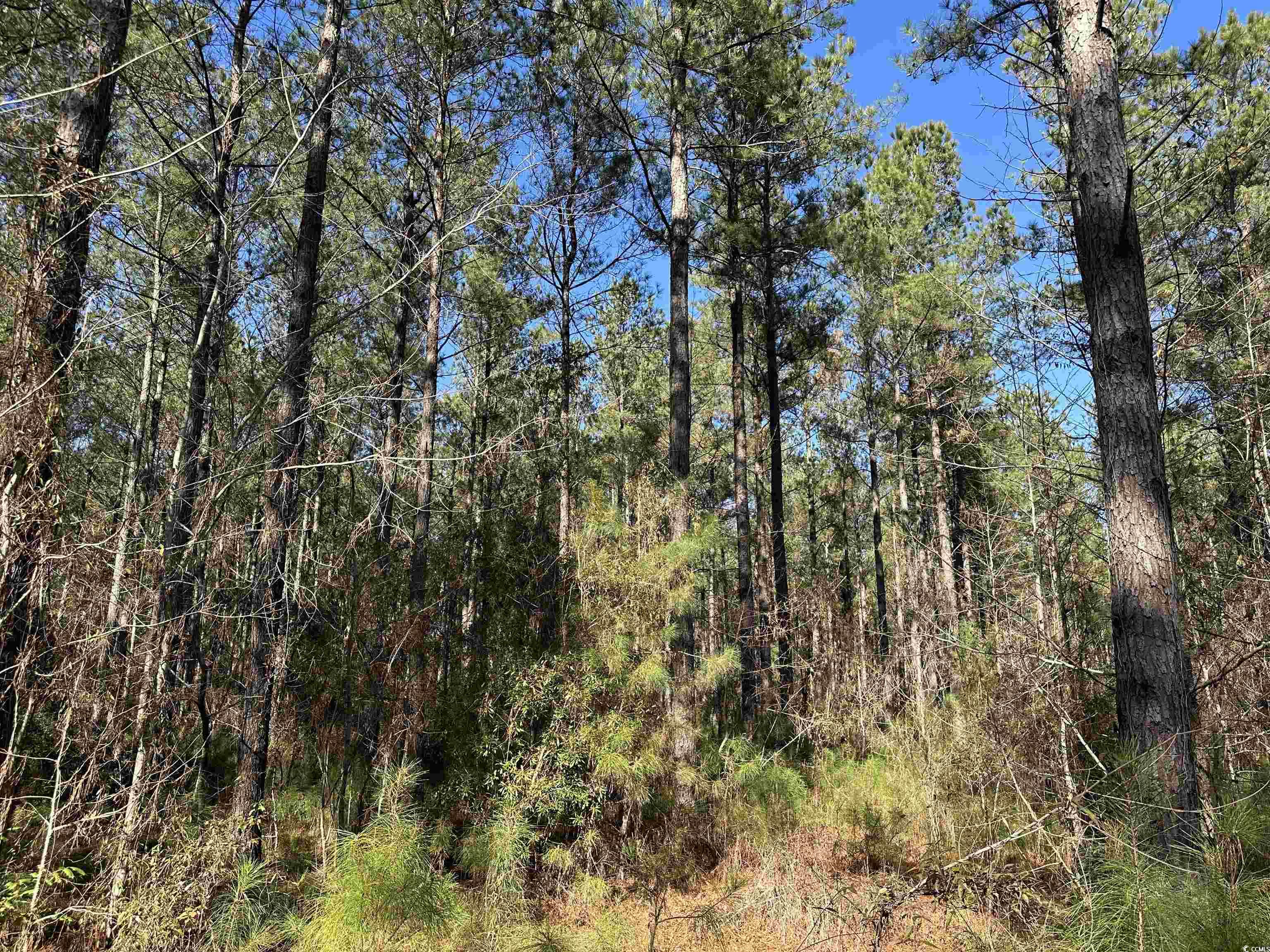 Tbd 34 Ac Easler Hwy Property Photo