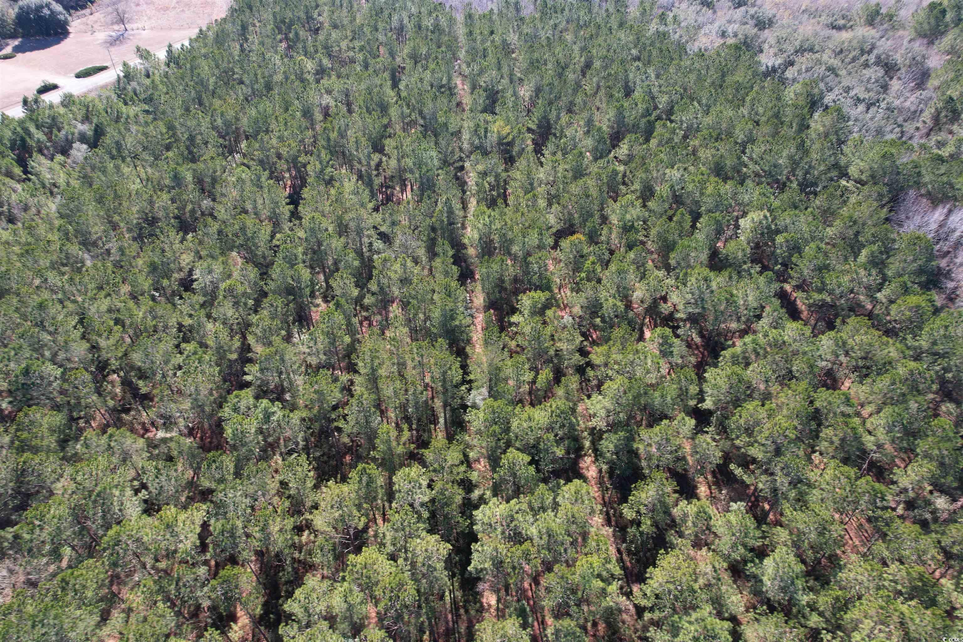 Tbd 34 Ac Easler Hwy Property Photo 4