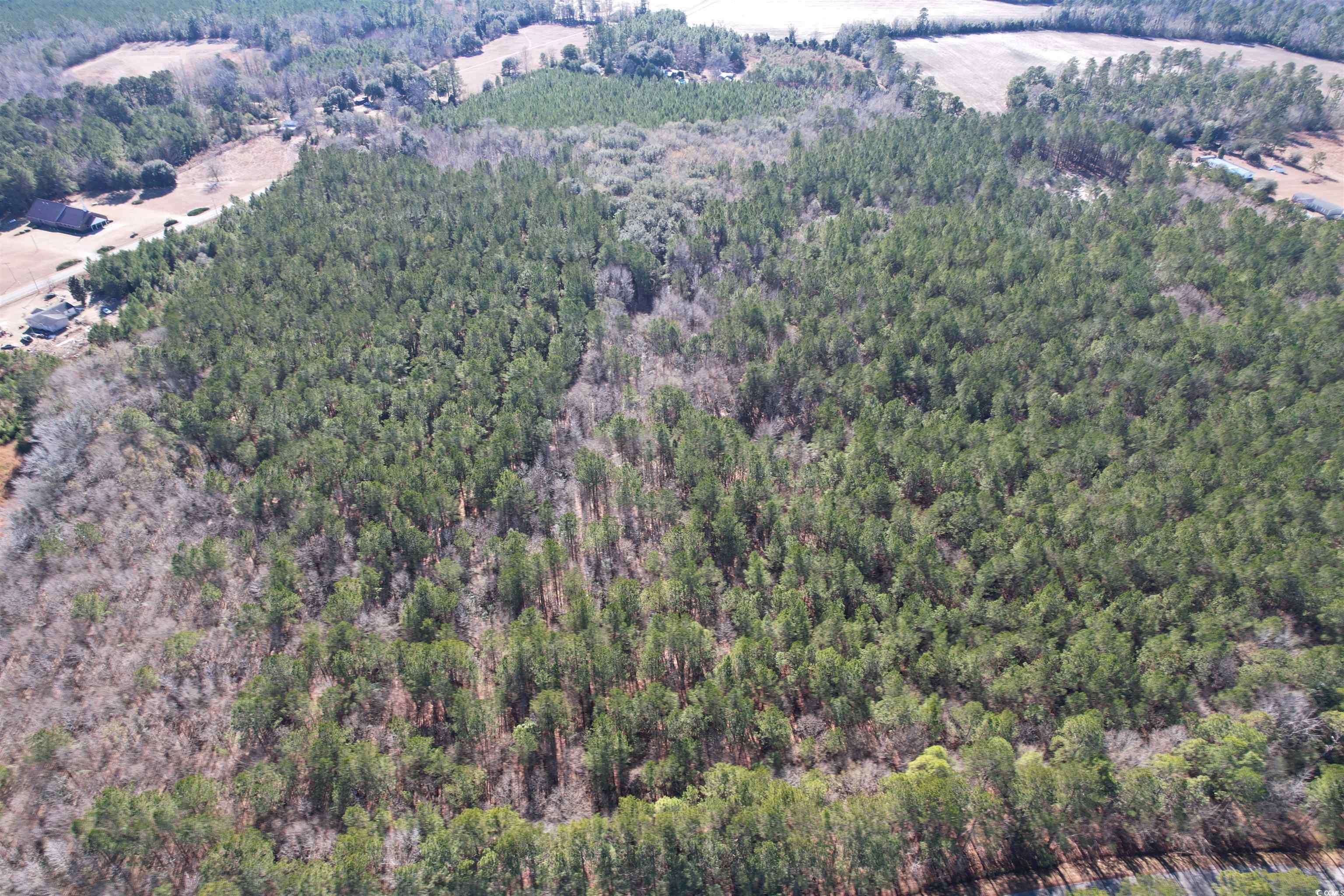 Tbd 34 Ac Easler Hwy Property Photo 5