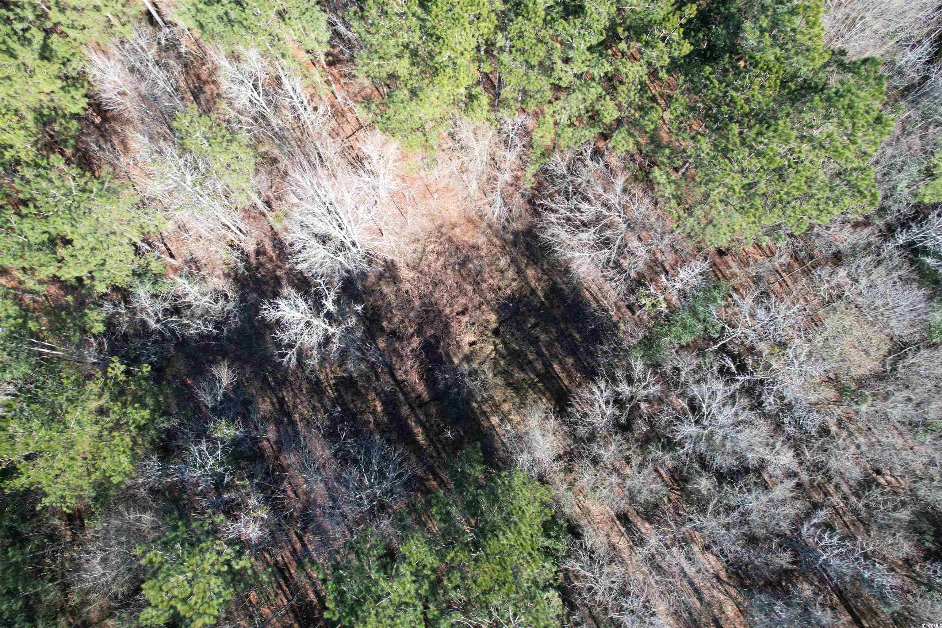 Tbd 34 Ac Easler Hwy Property Photo 6