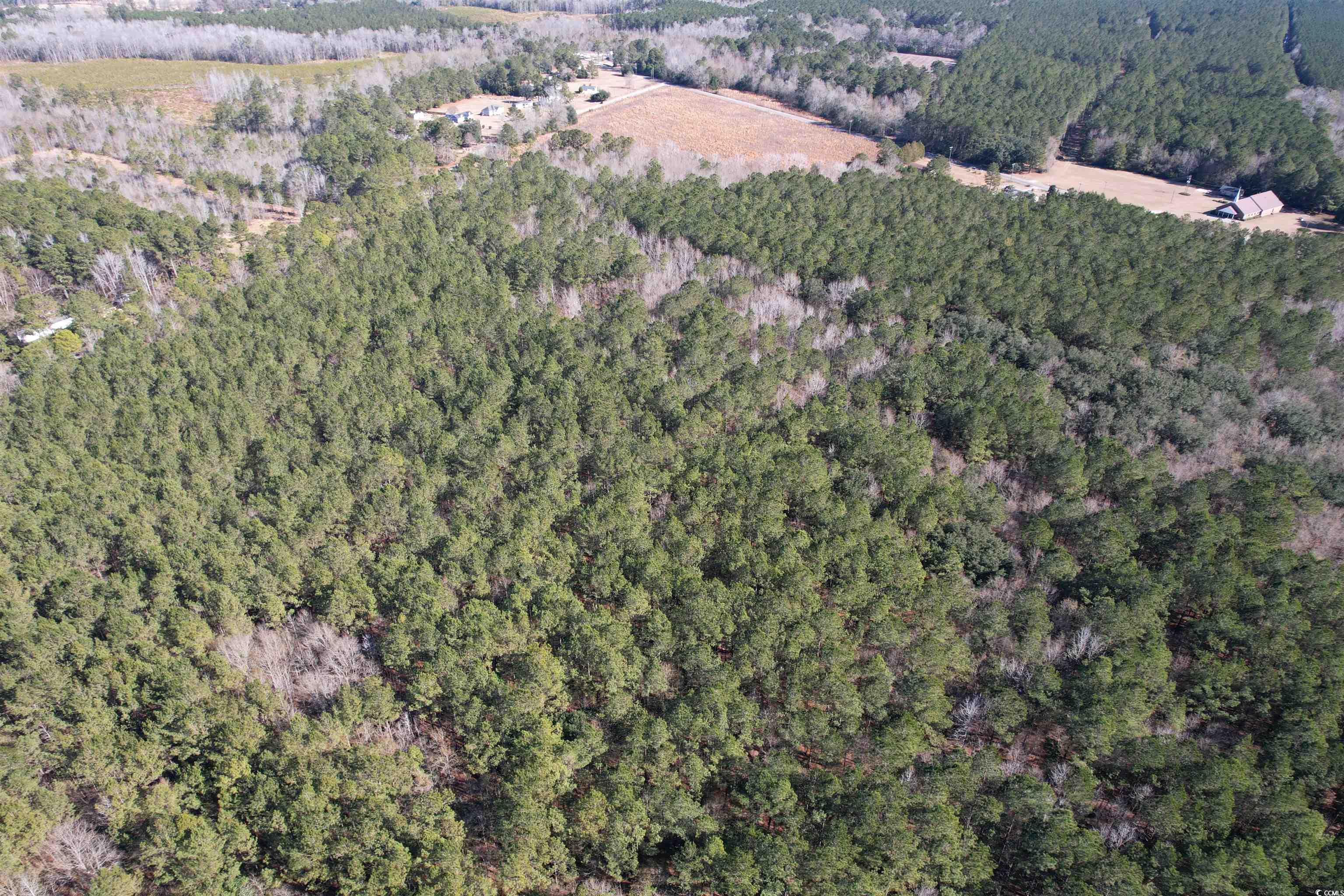 Tbd 34 Ac Easler Hwy Property Photo 7
