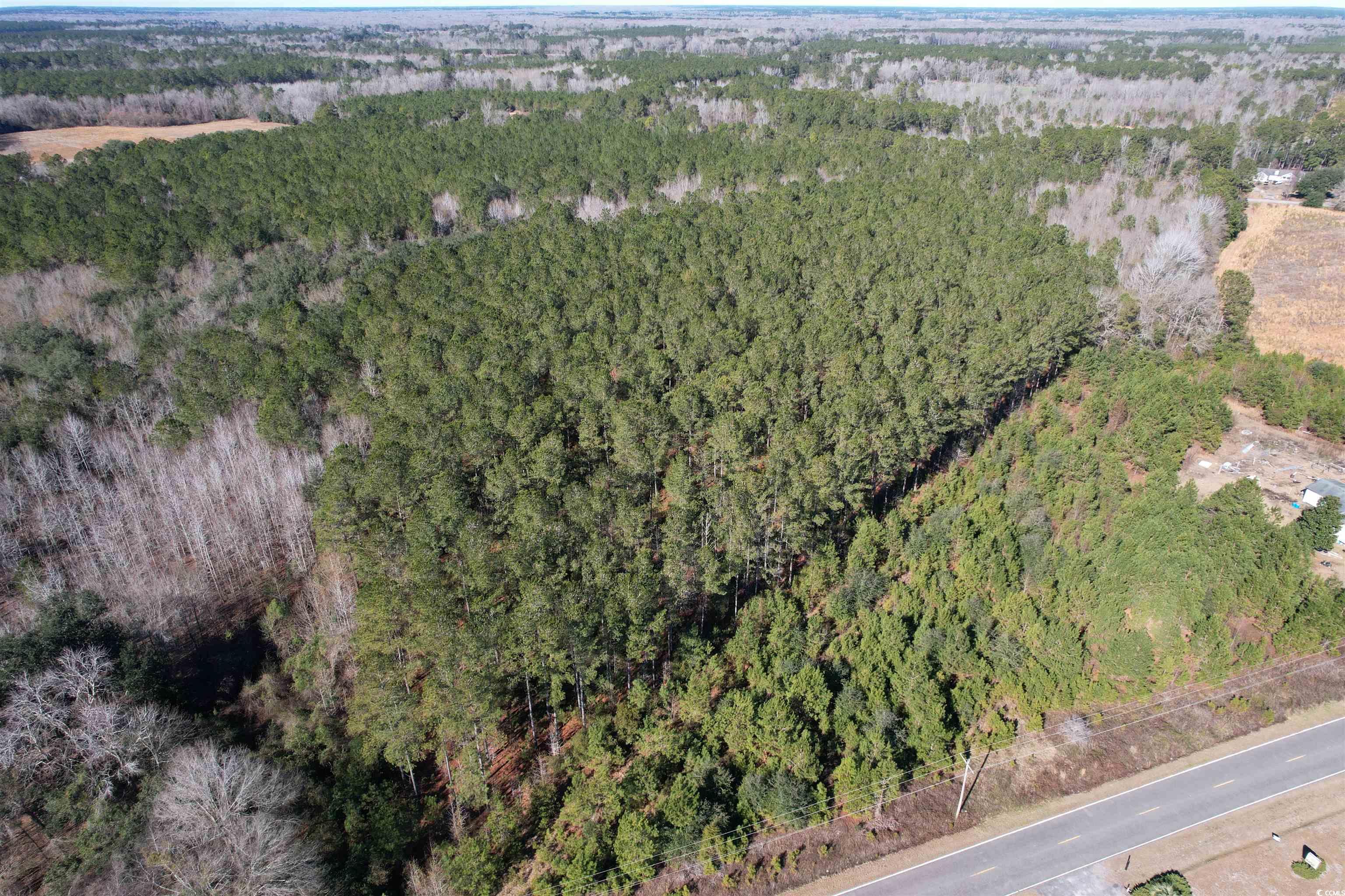 Tbd 34 Ac Easler Hwy Property Photo 8