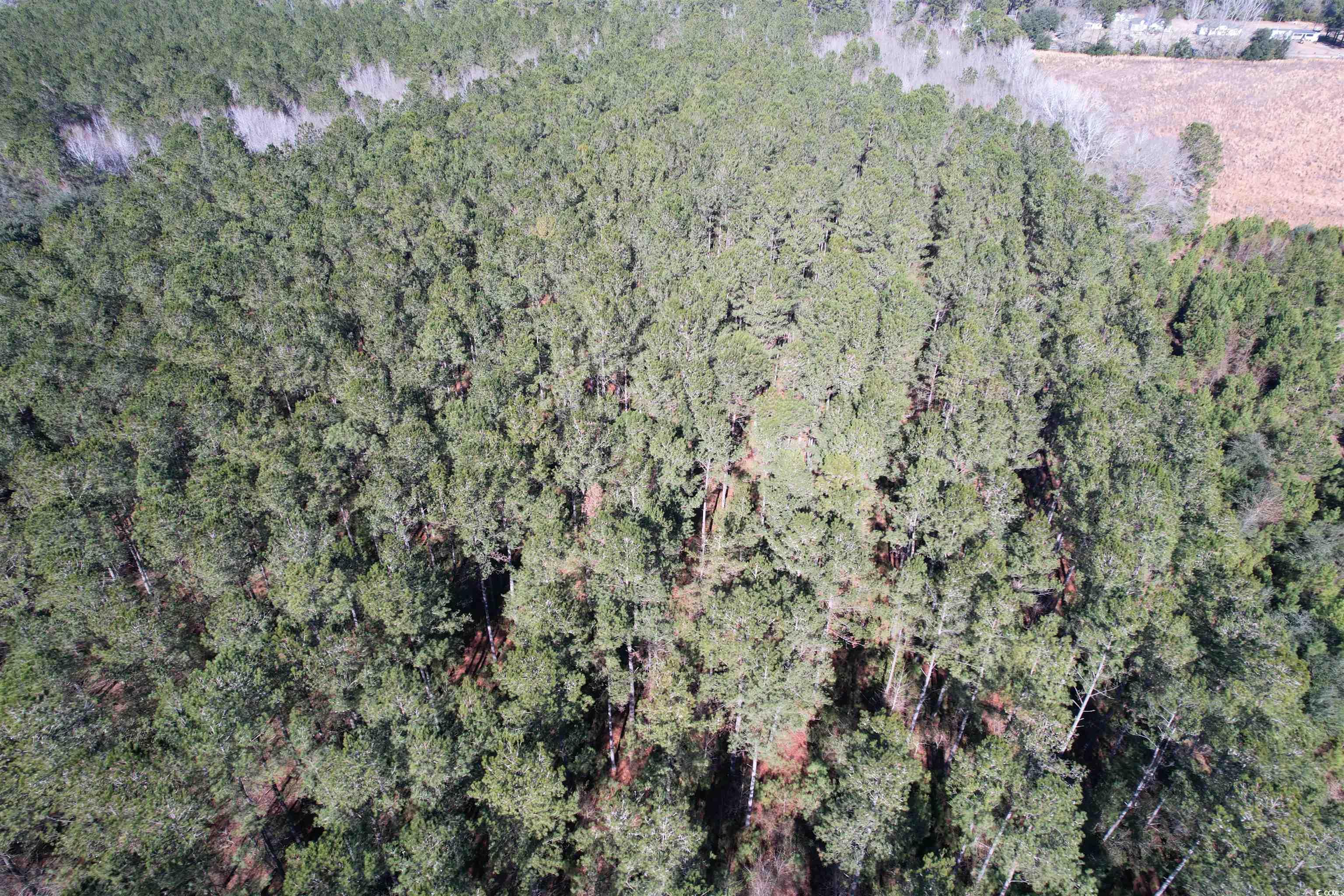 Tbd 34 Ac Easler Hwy Property Photo 9