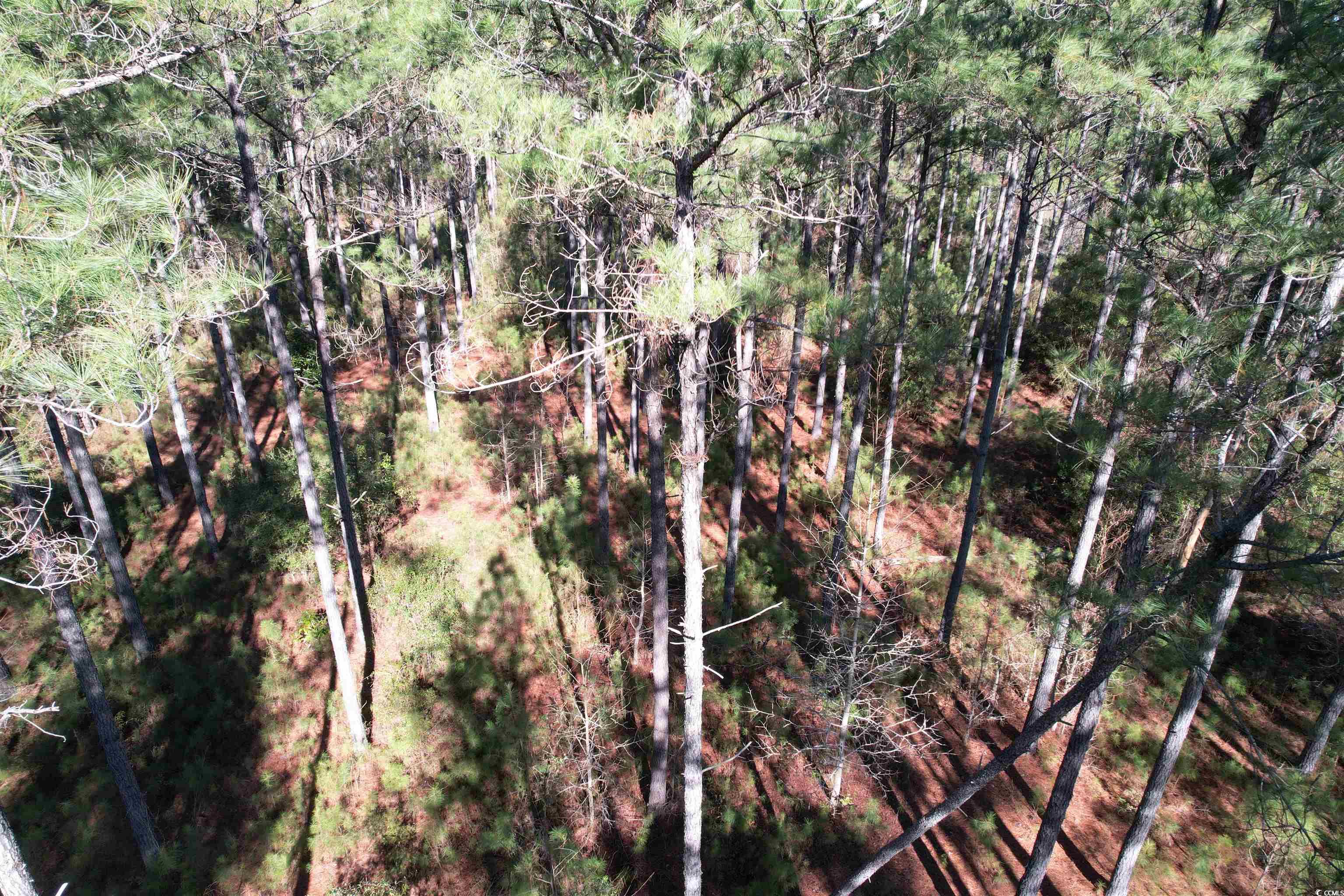 Tbd 34 Ac Easler Hwy Property Photo 10