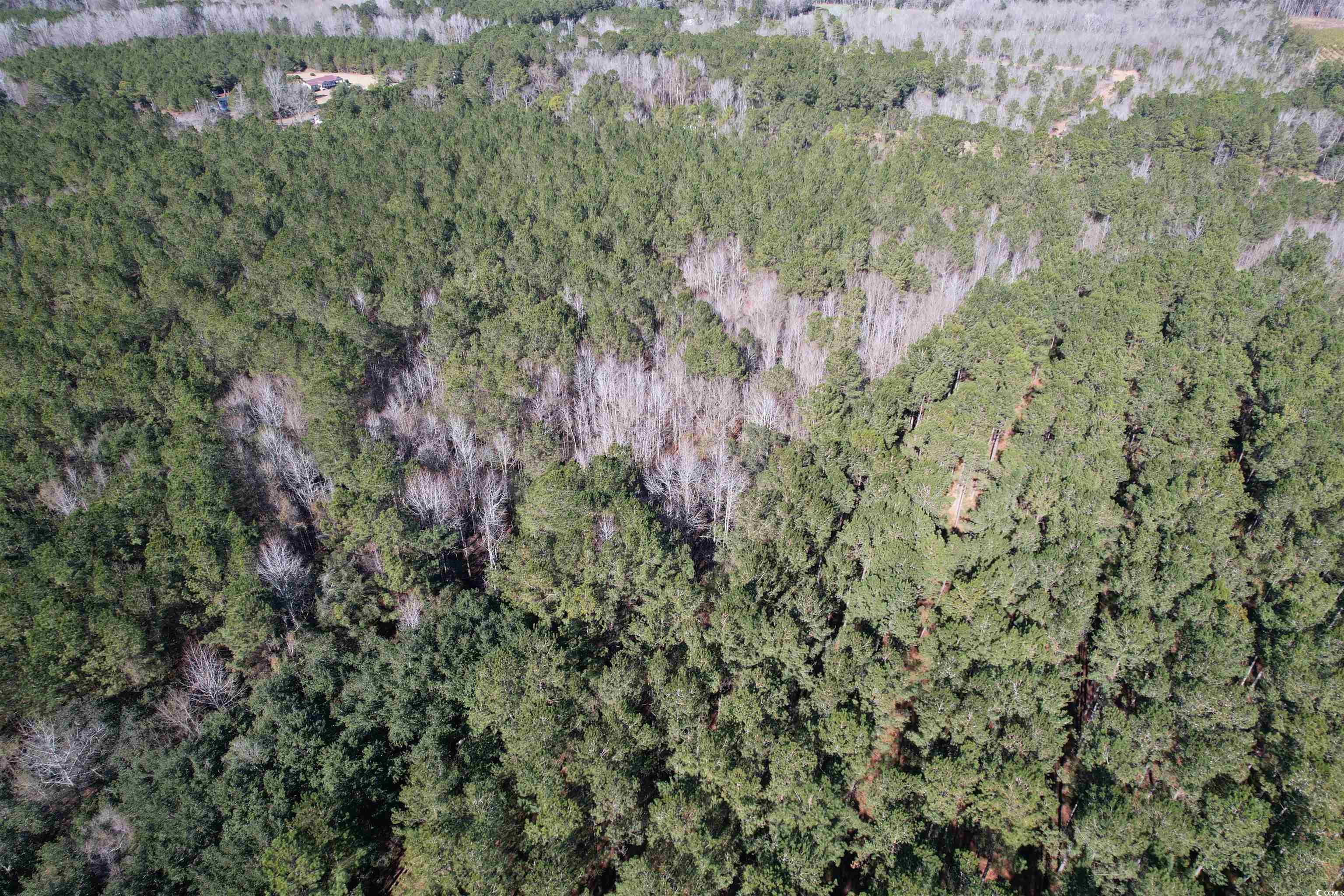 Tbd 34 Ac Easler Hwy Property Photo 11
