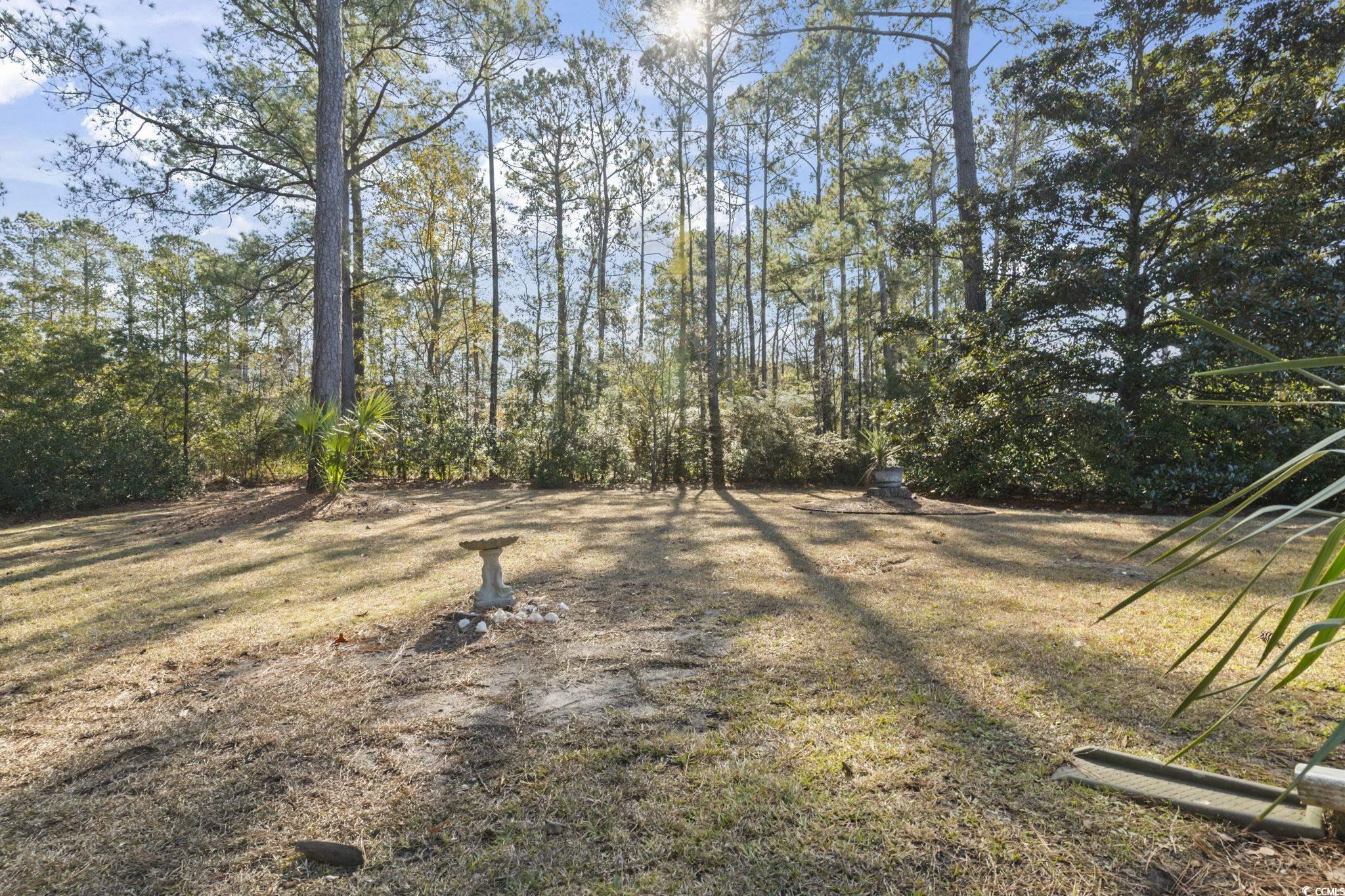 116 Purple Martin Dr. Property Photo 40