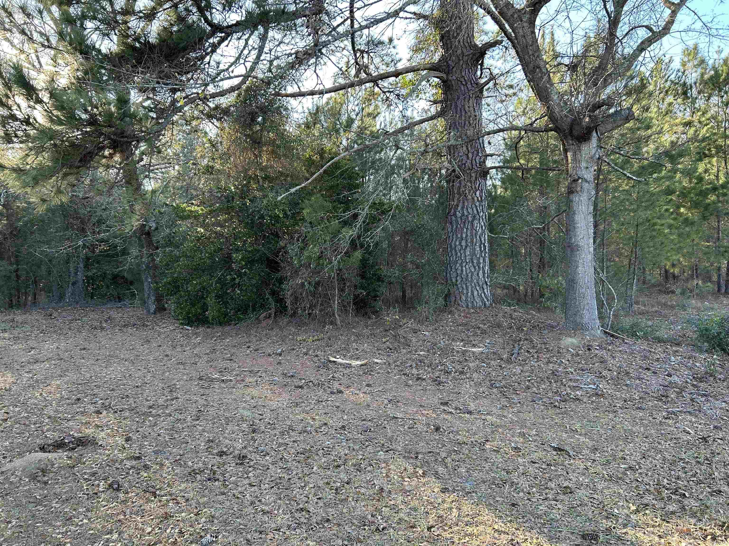 21851 Choppee Rd. Property Photo 3