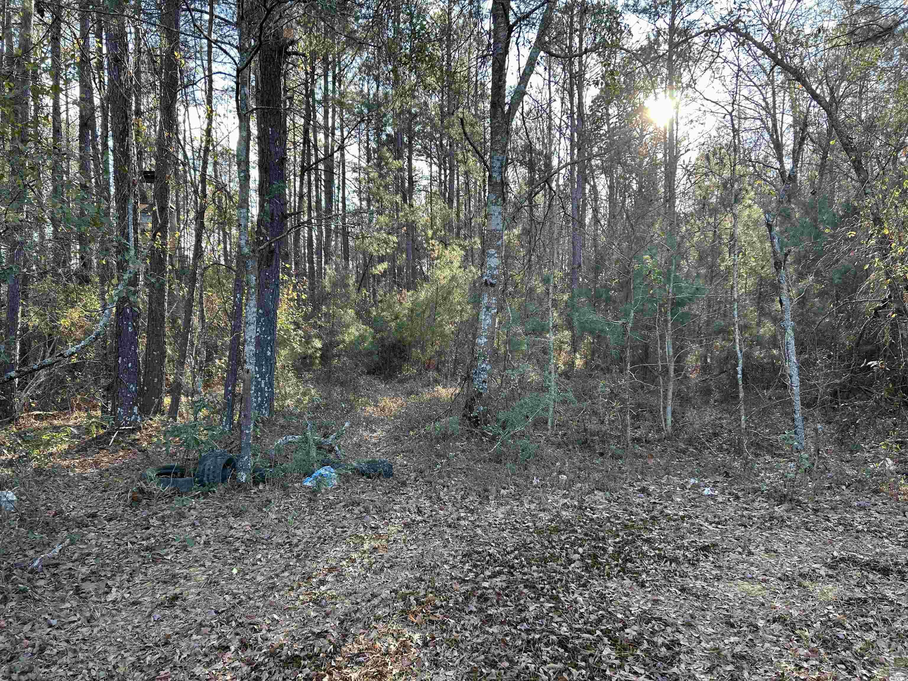21851 Choppee Rd. Property Photo 4