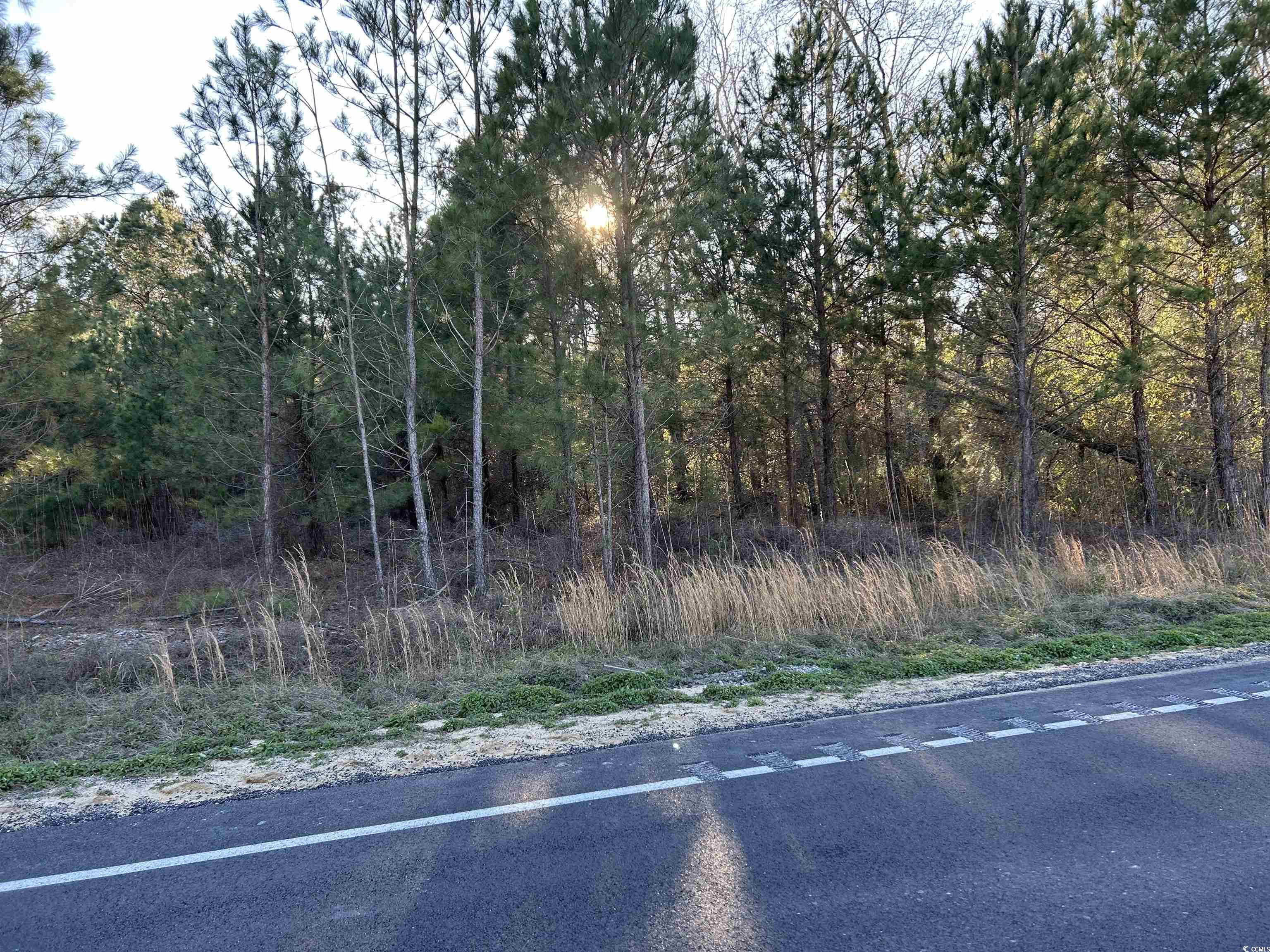 21851 Choppee Rd. Property Photo 6