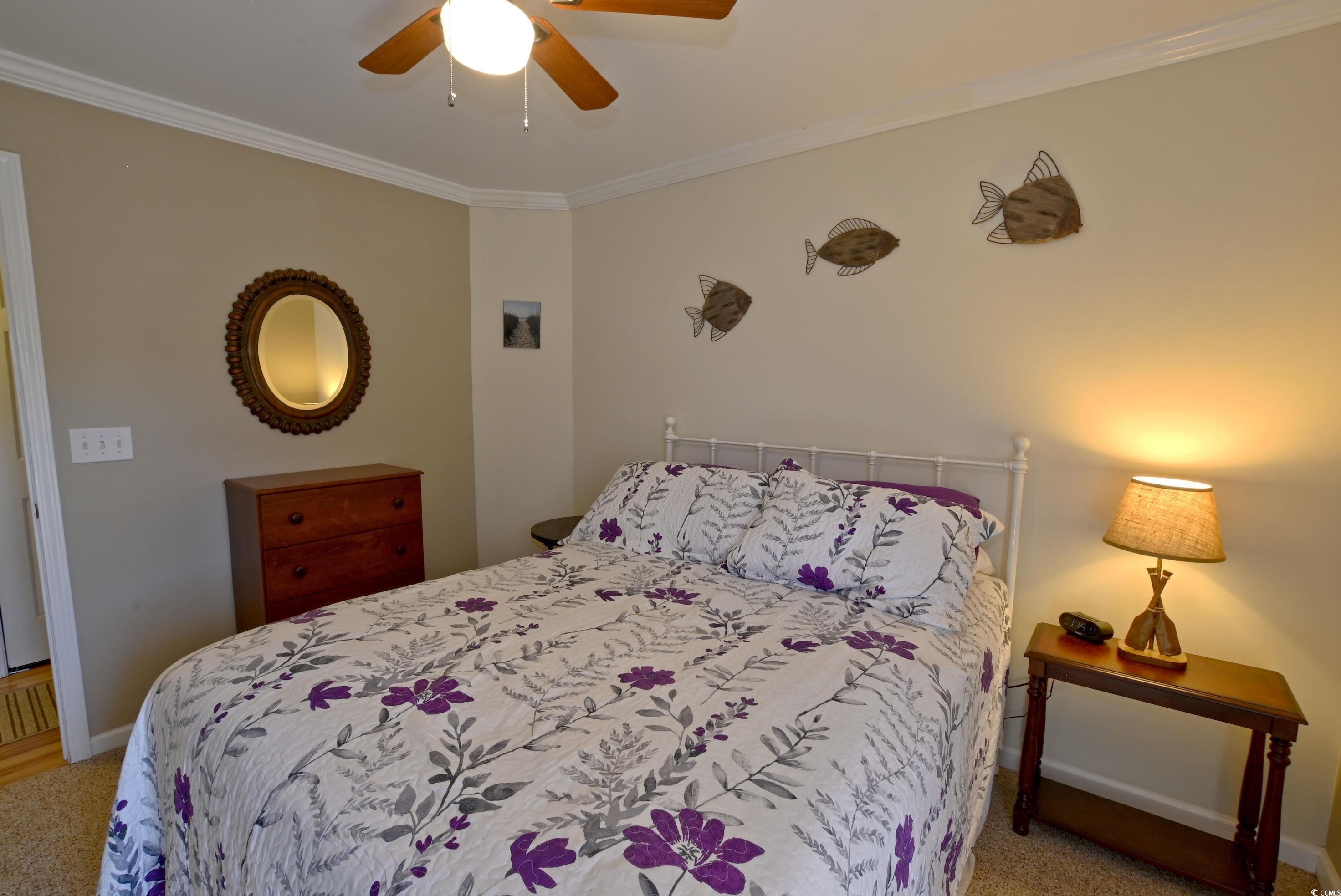 4657 Fringetree Dr. Property Photo 22