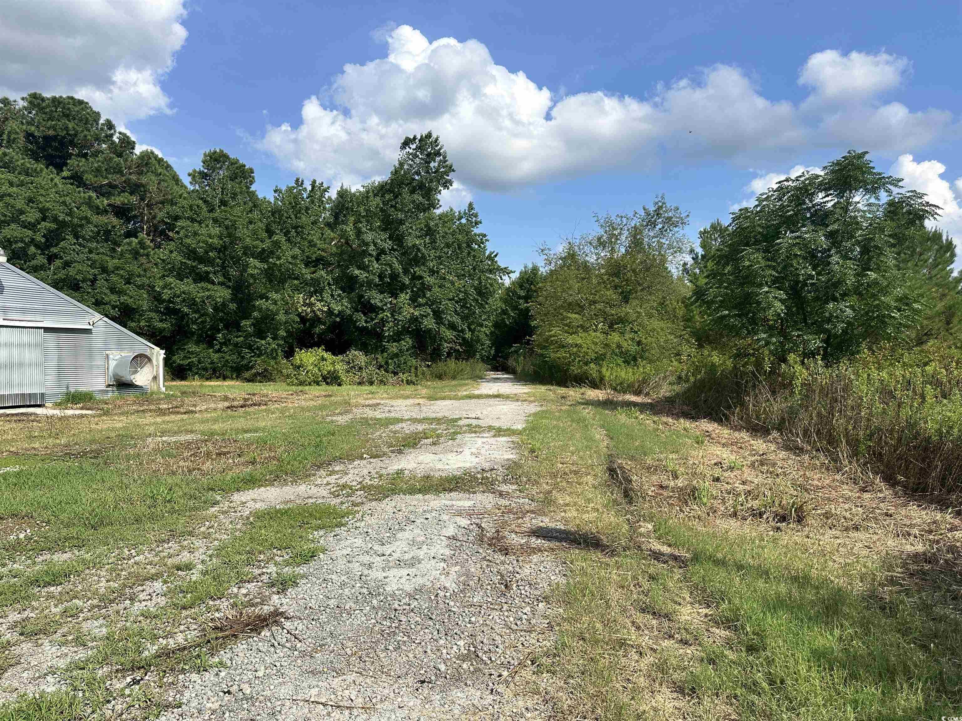 100 Lulu Ln. Property Photo 34