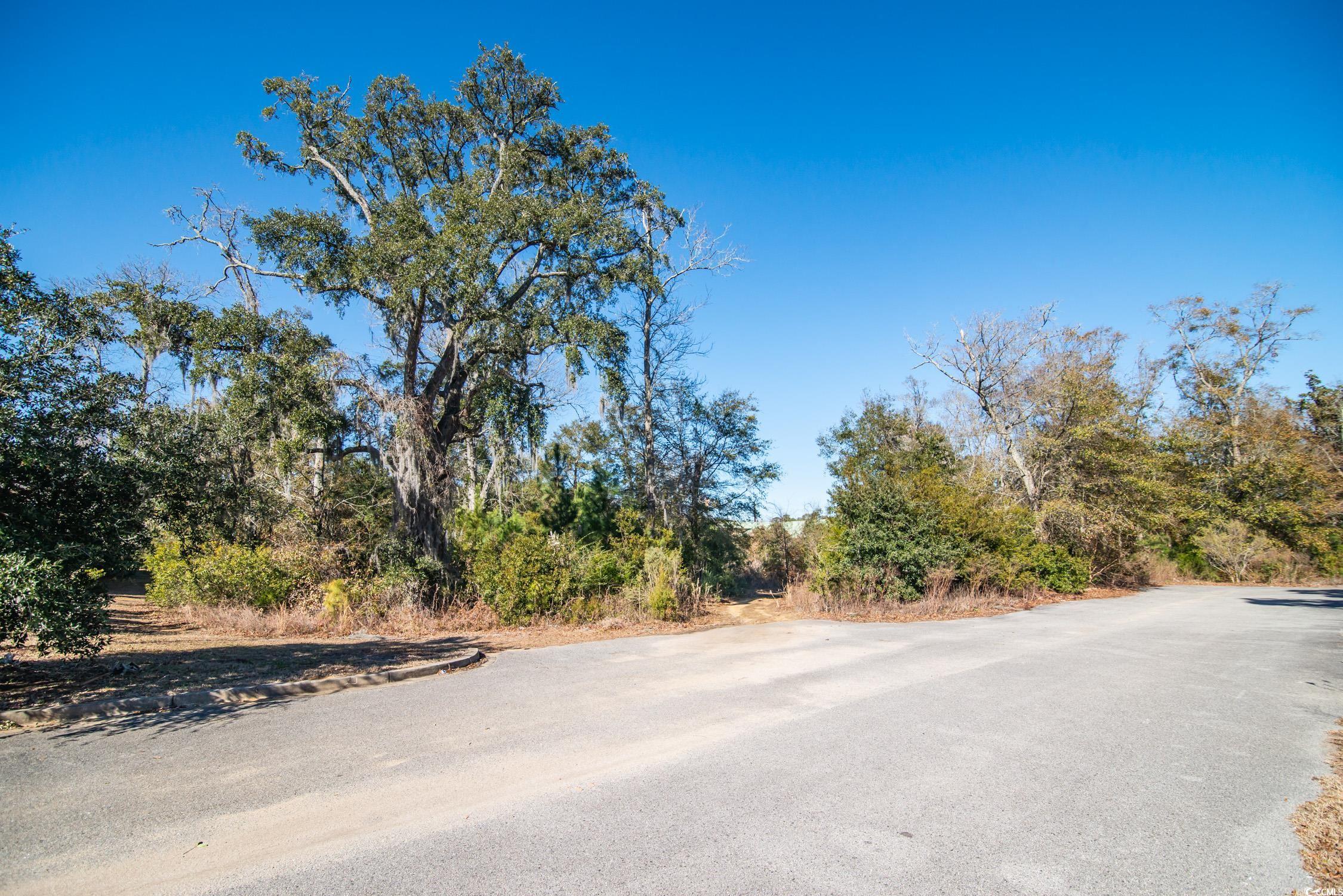 Tbd Ocean Hwy. Property Photo 8