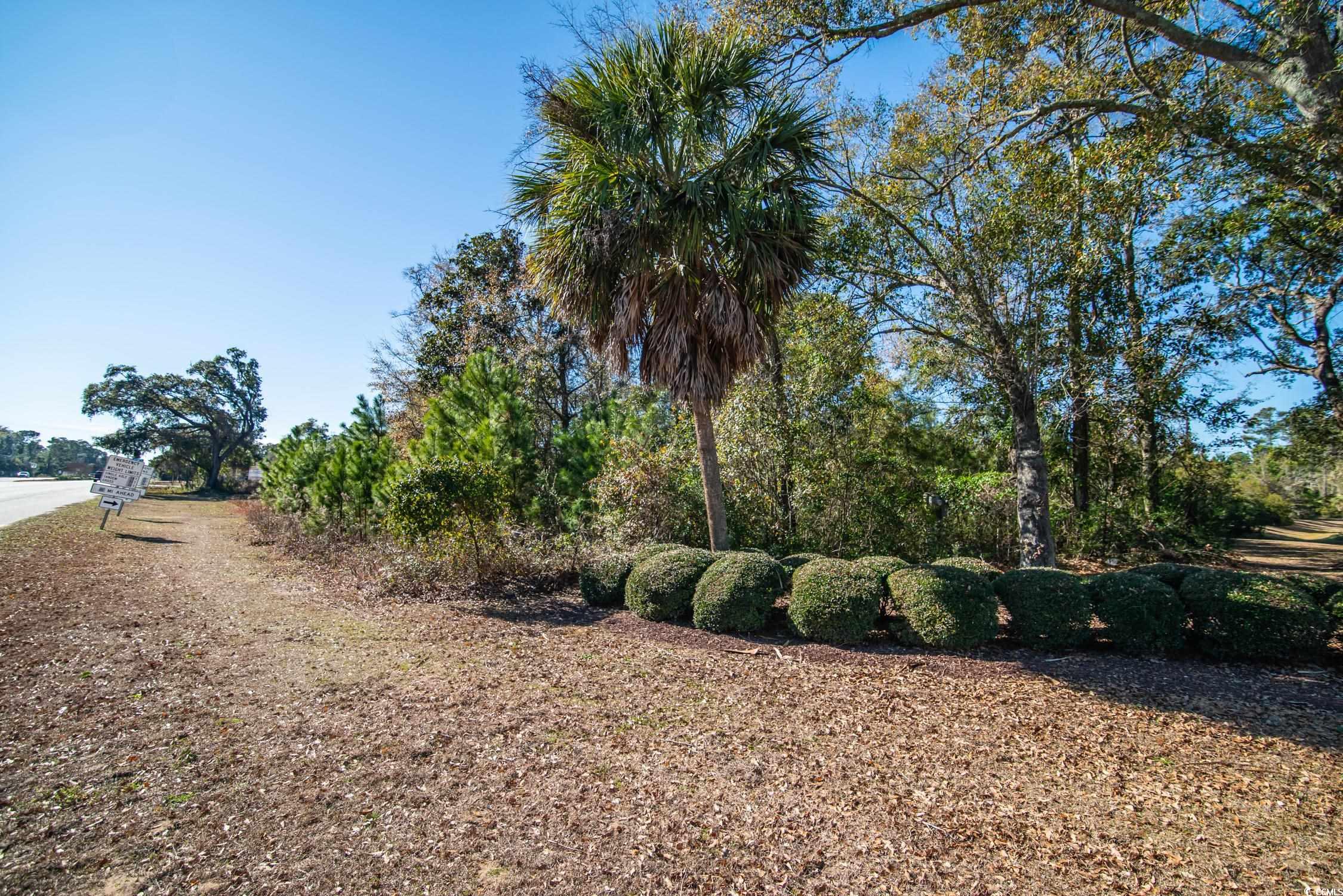 Tbd Ocean Hwy. Property Photo 9