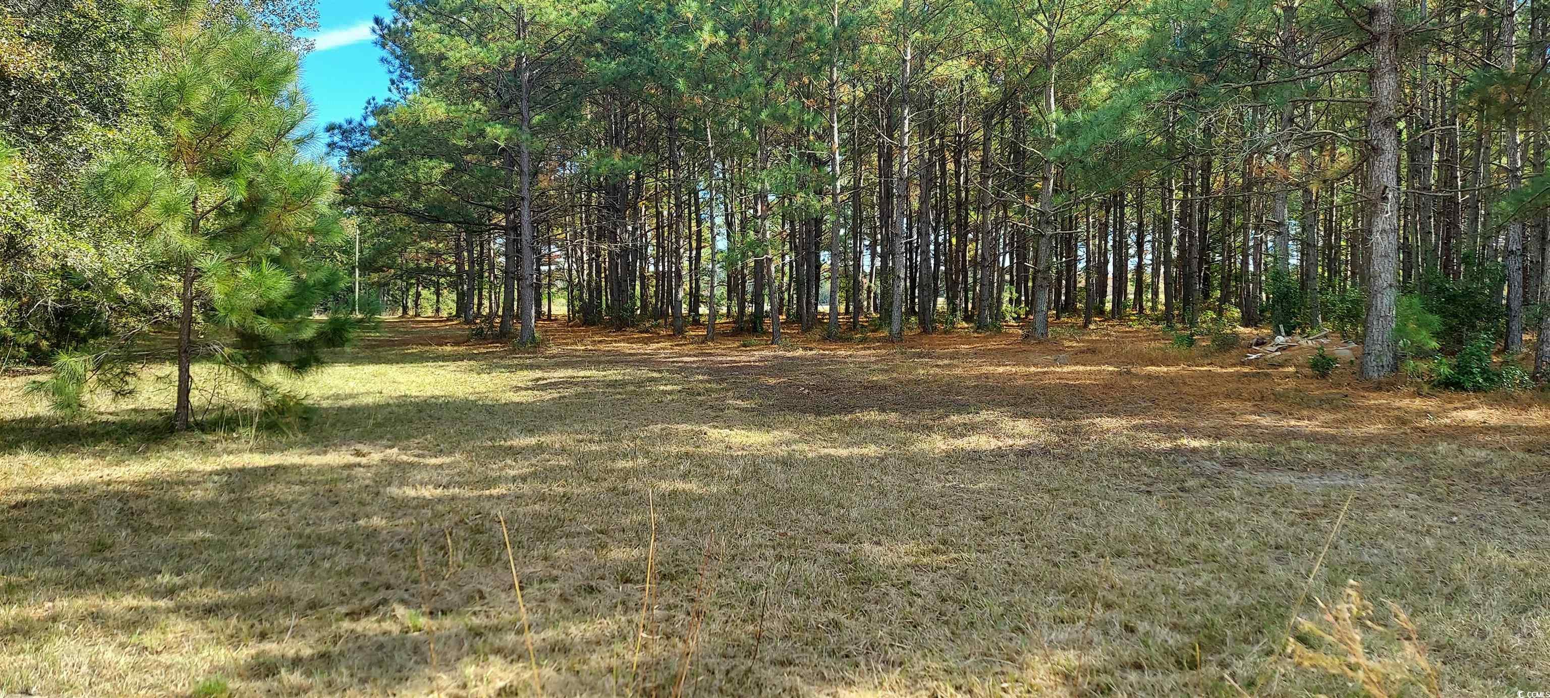 3025 Fowler Rd. Property Photo 3