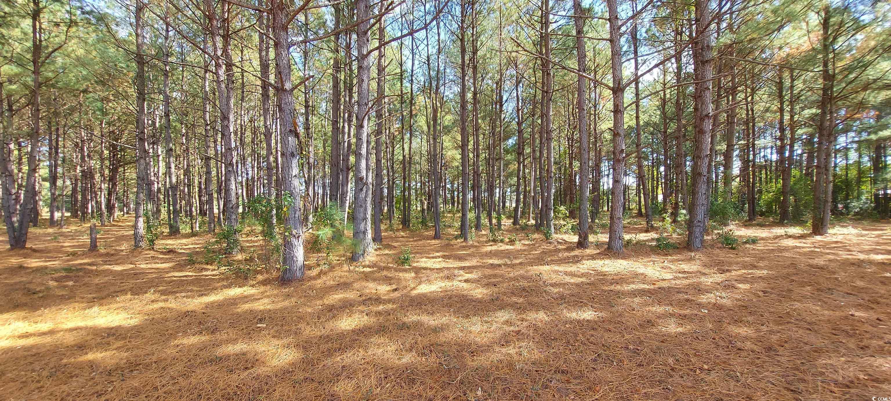 3025 Fowler Rd. Property Photo 4