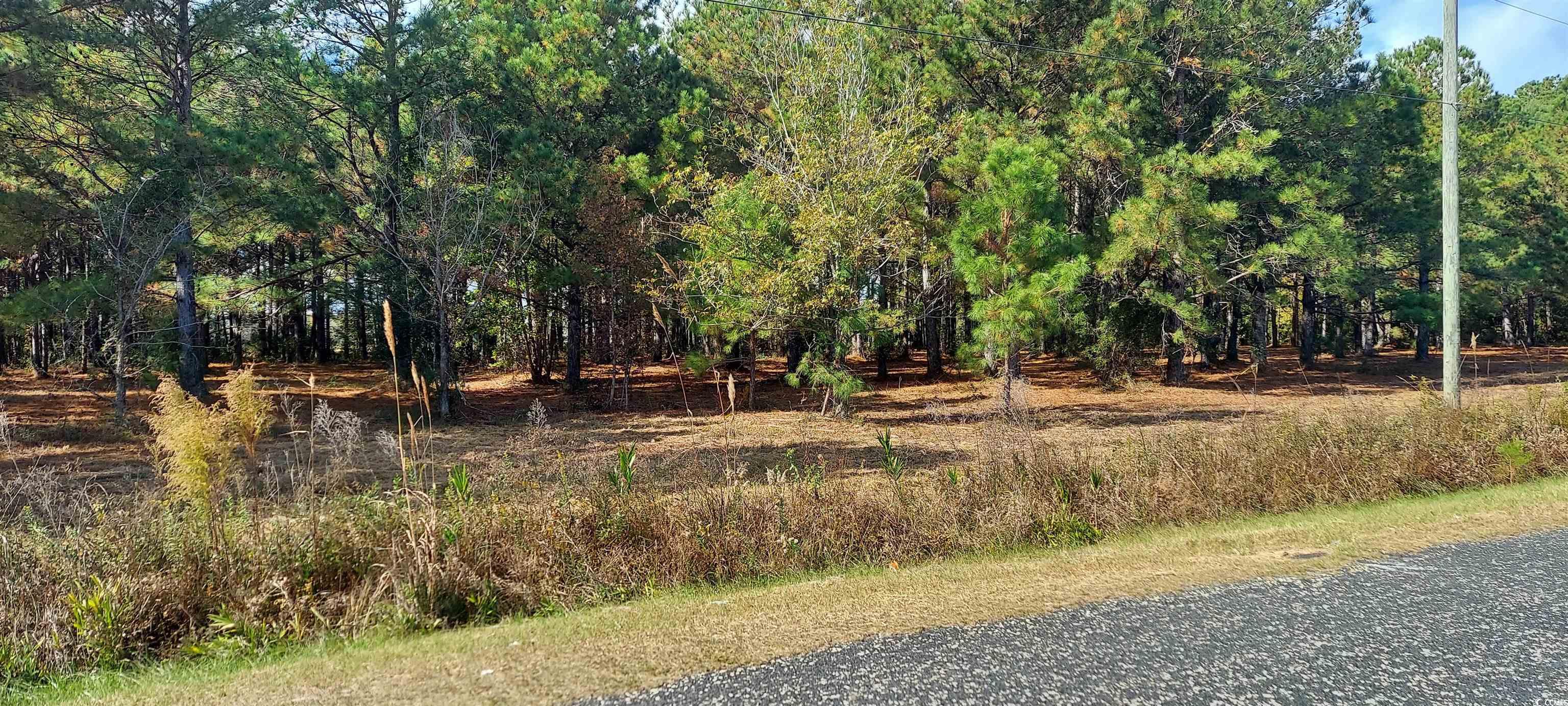 3025 Fowler Rd. Property Photo 5