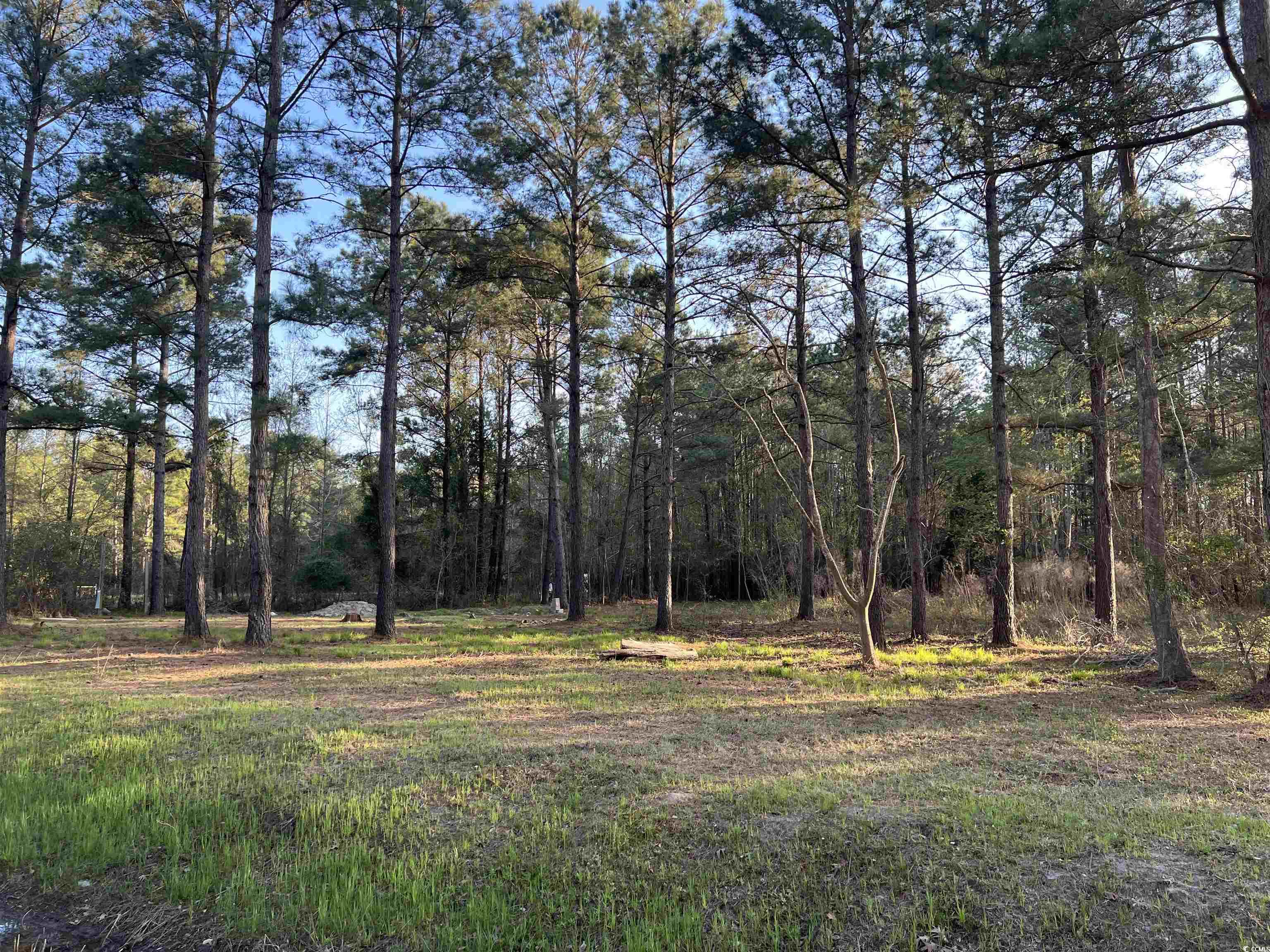 2108 Lees Landing Circle Property Photo 2
