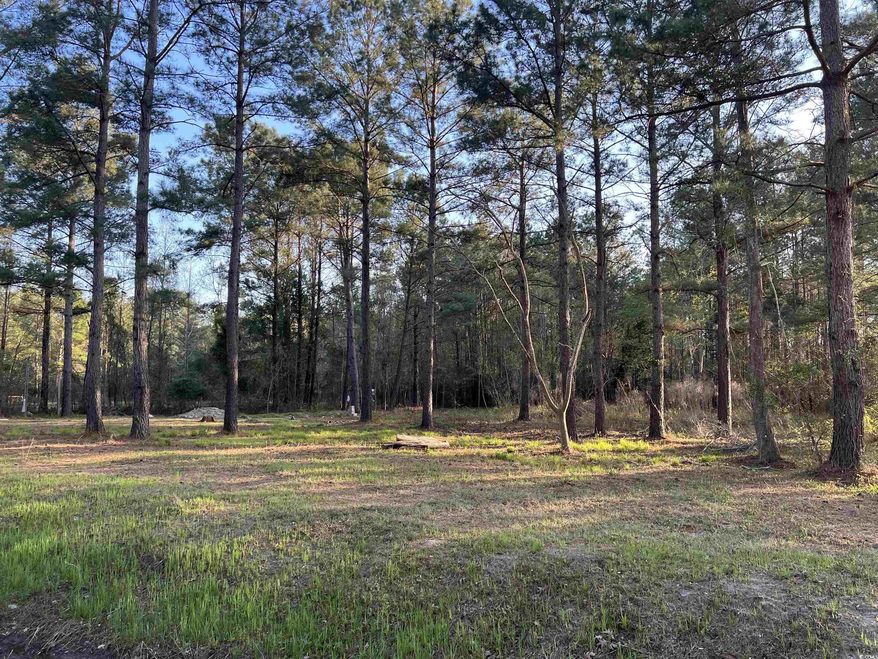 2108 Lees Landing Circle Property Photo 3