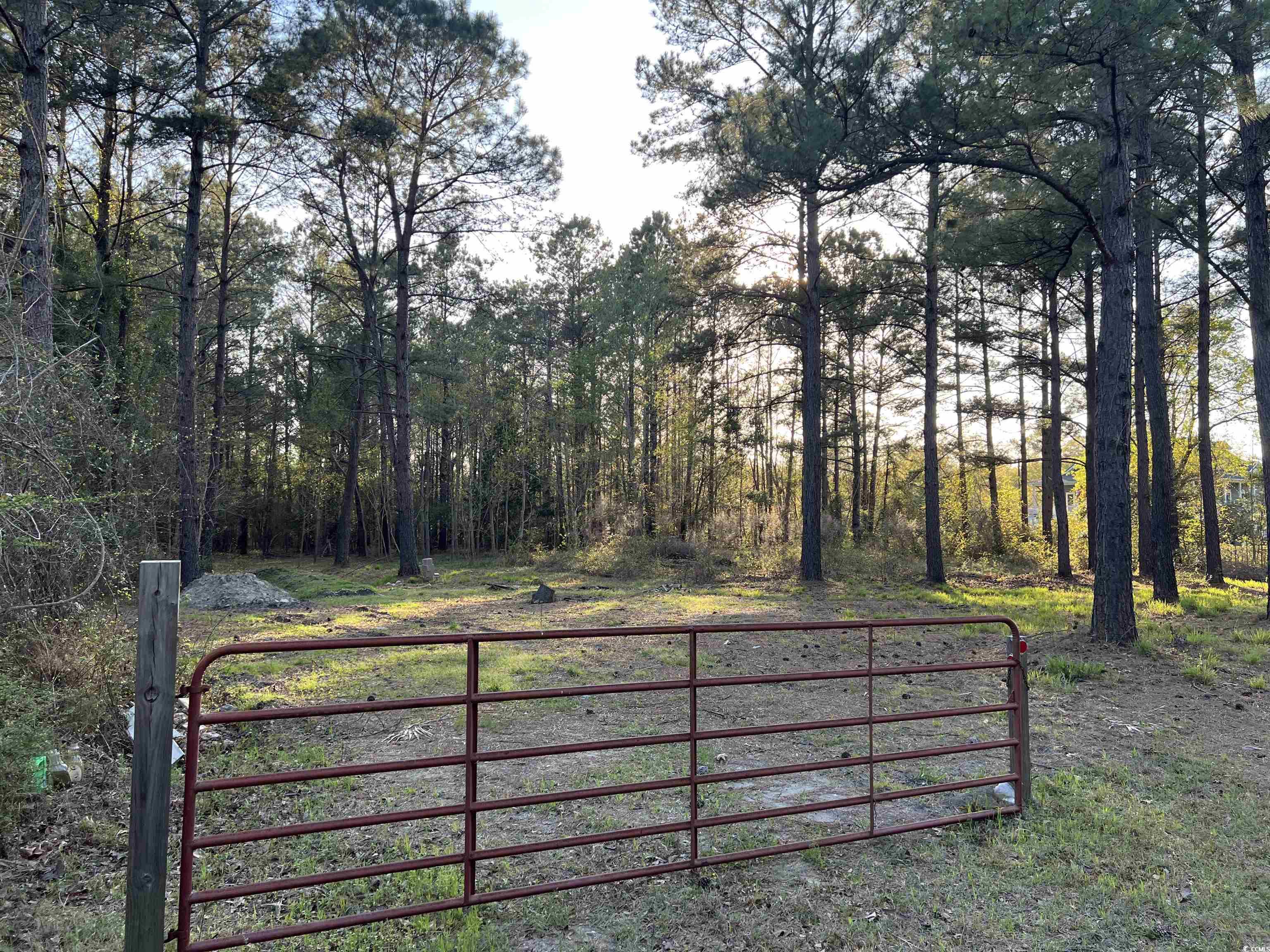 2108 Lees Landing Circle Property Photo 4