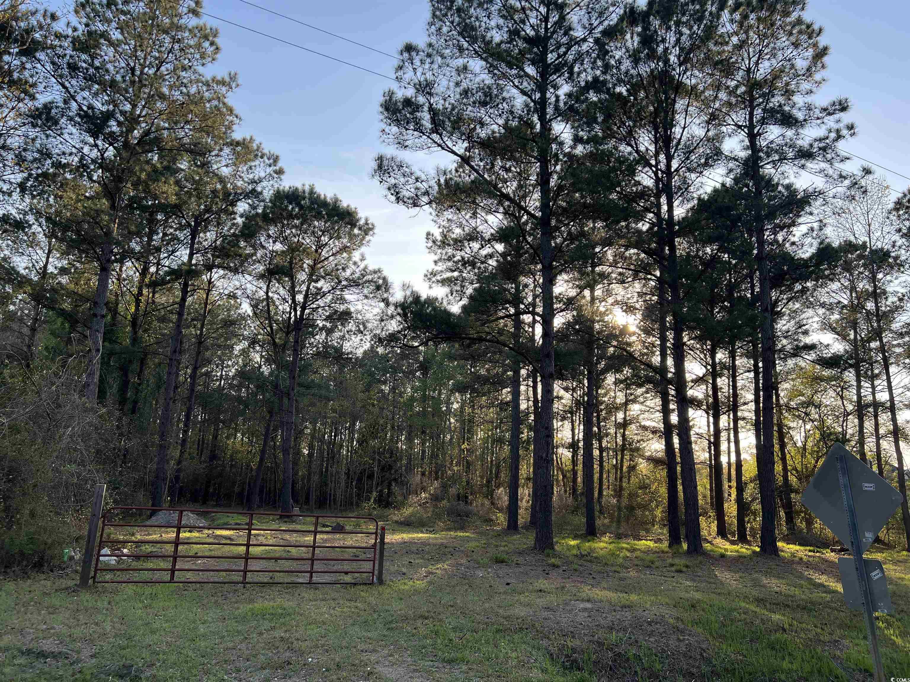 2108 Lees Landing Circle Property Photo 7