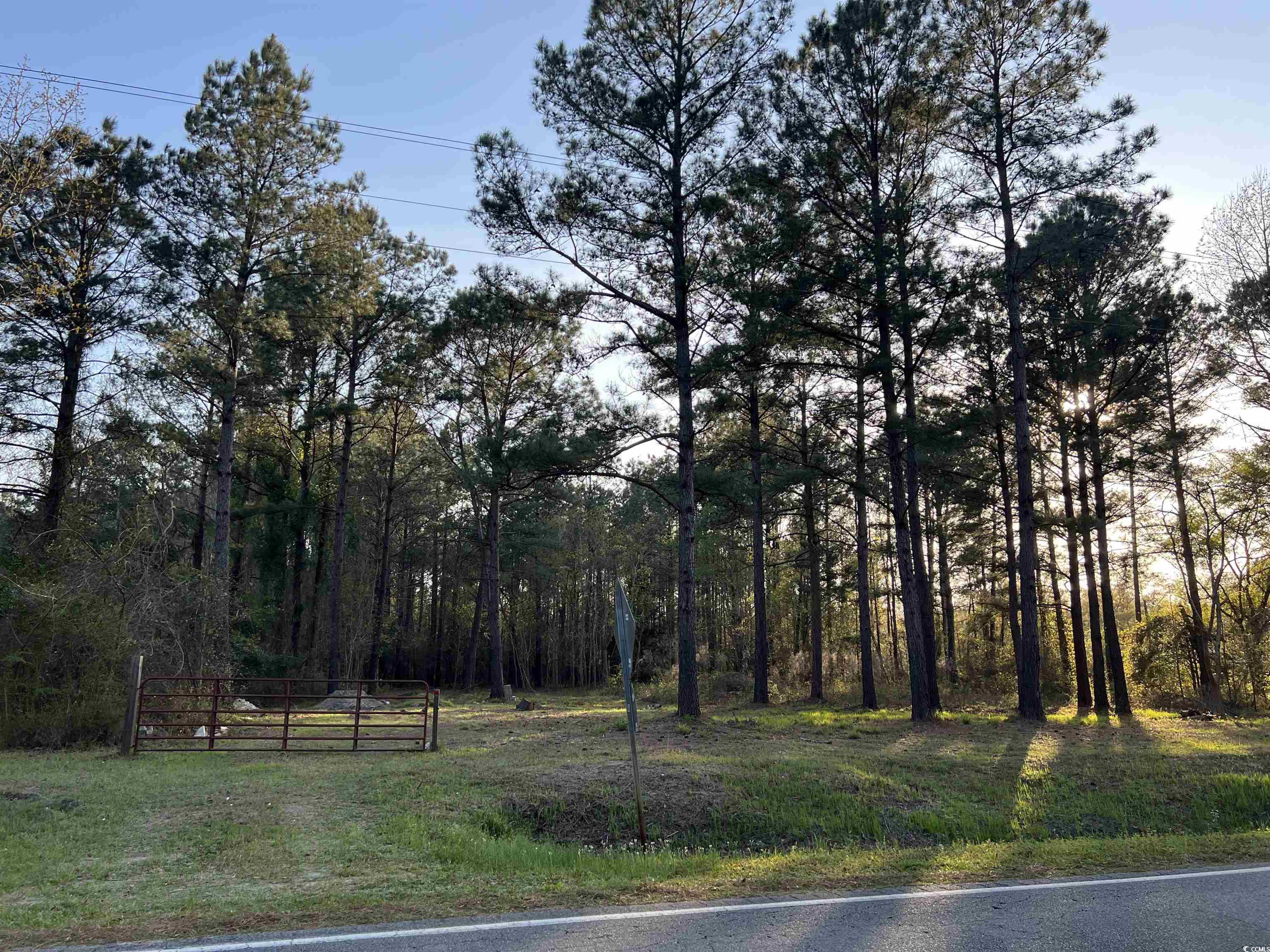 2108 Lees Landing Circle Property Photo 8