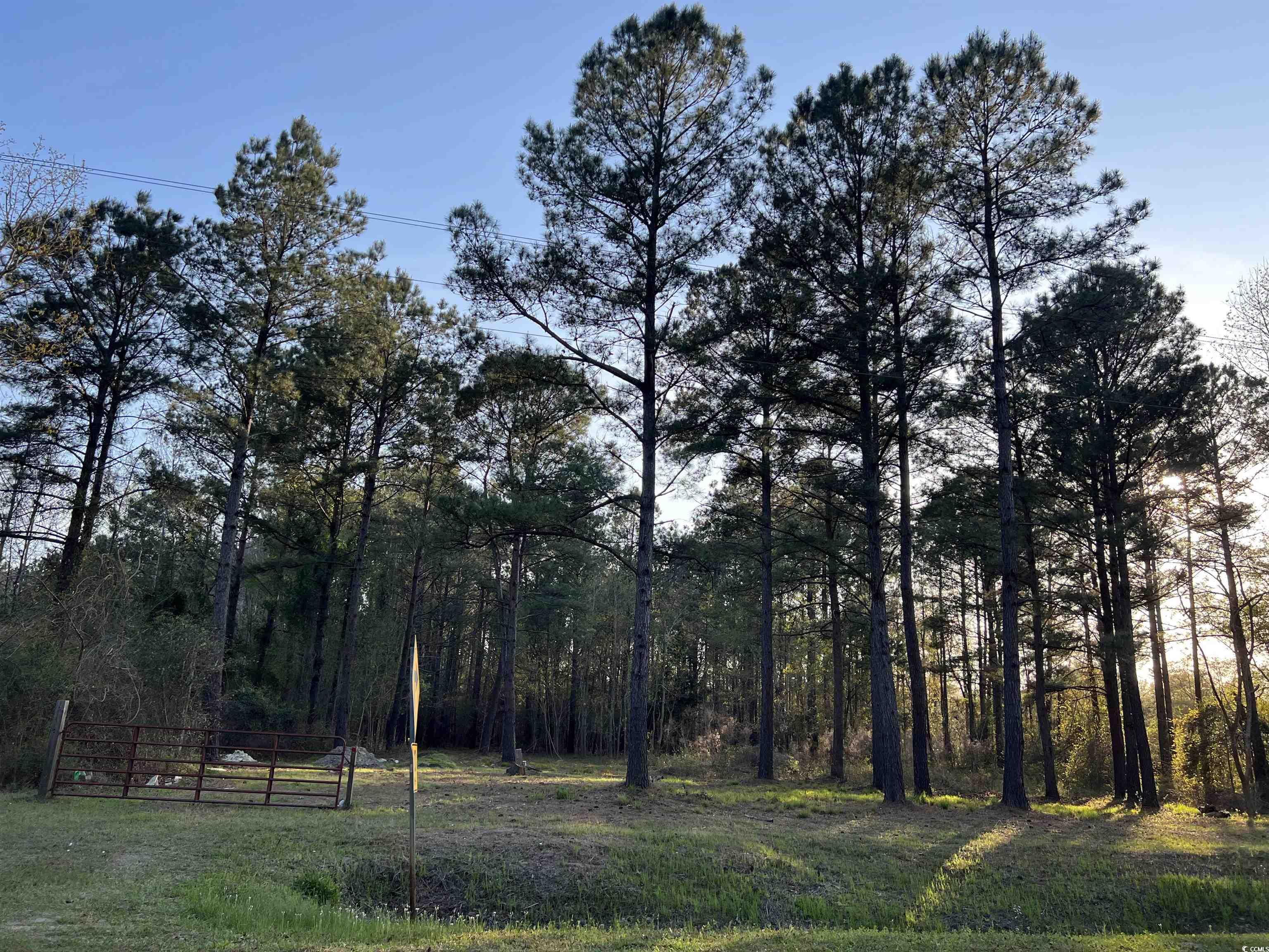 2108 Lees Landing Circle Property Photo 9