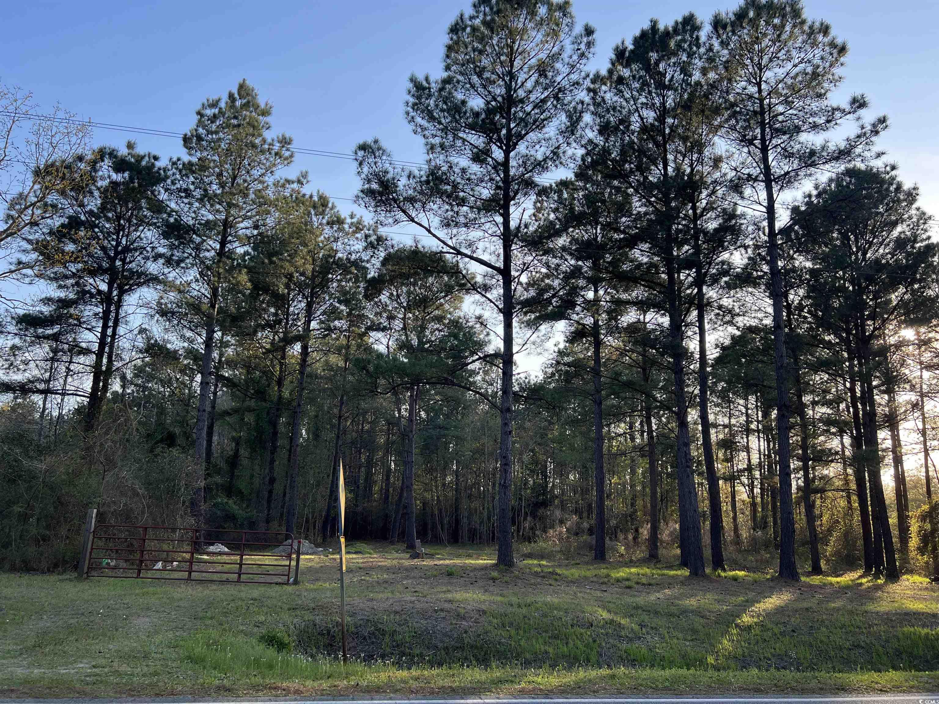 2108 Lees Landing Circle Property Photo 10