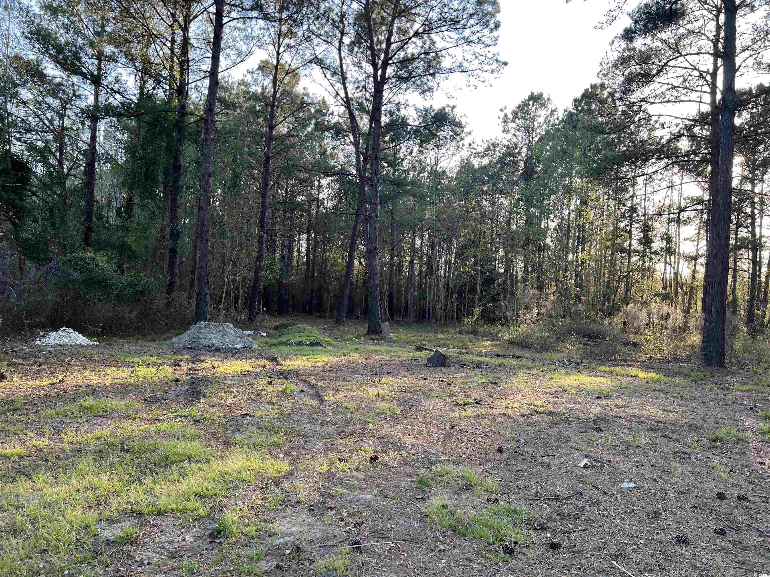 2108 Lees Landing Circle Property Photo 12