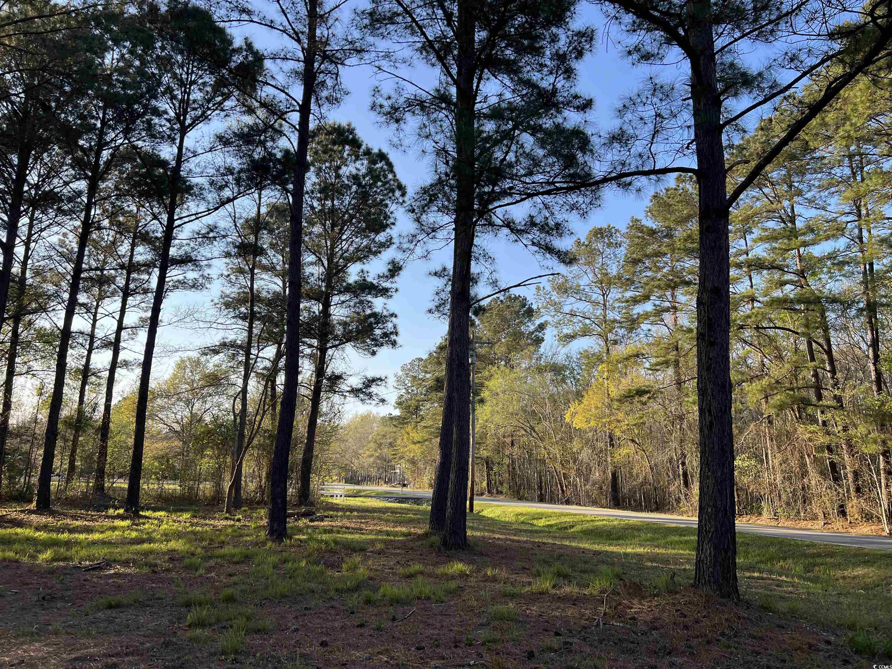 2108 Lees Landing Circle Property Photo 14