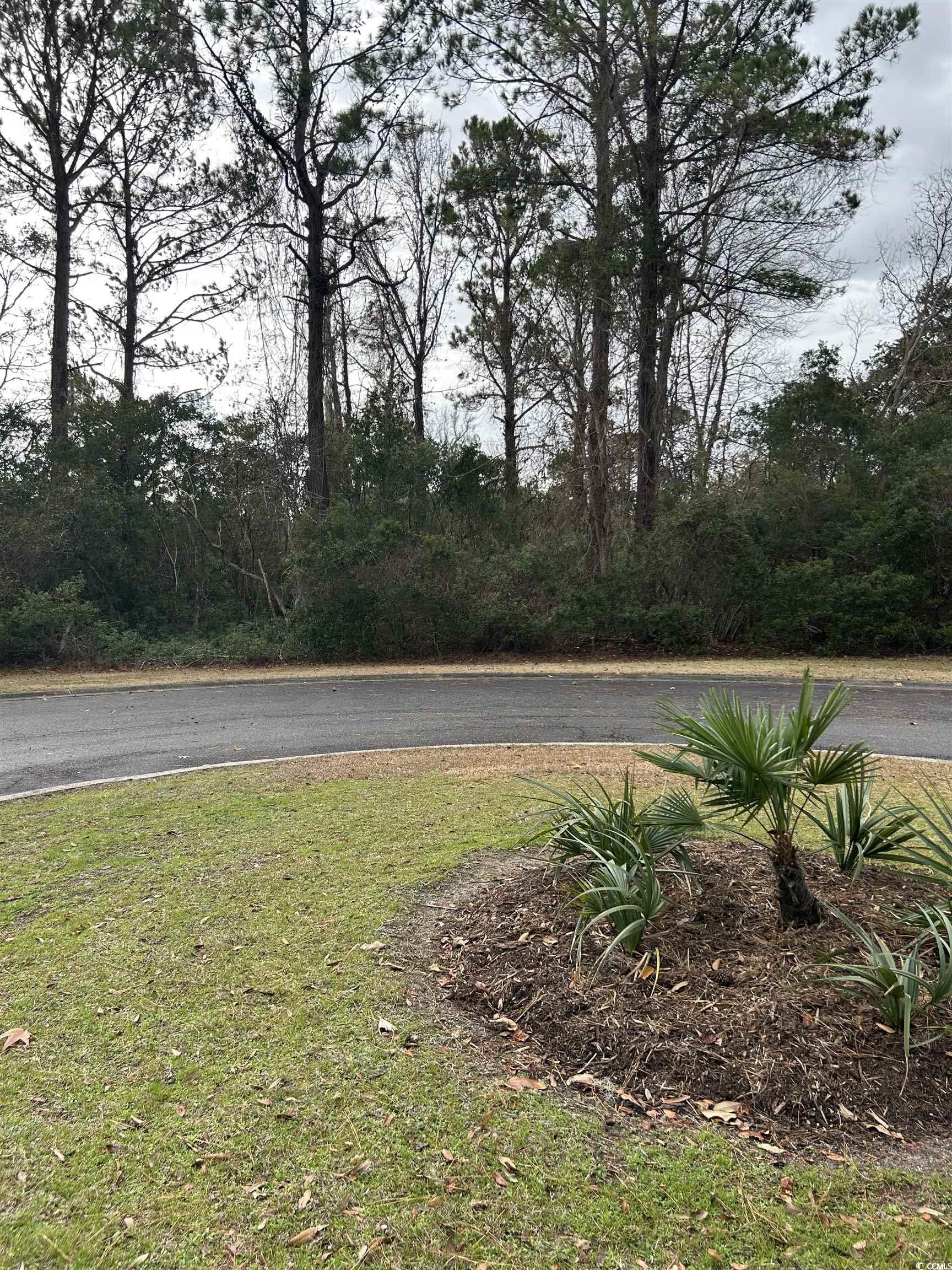 Lot 4 Josie Way Property Photo 3