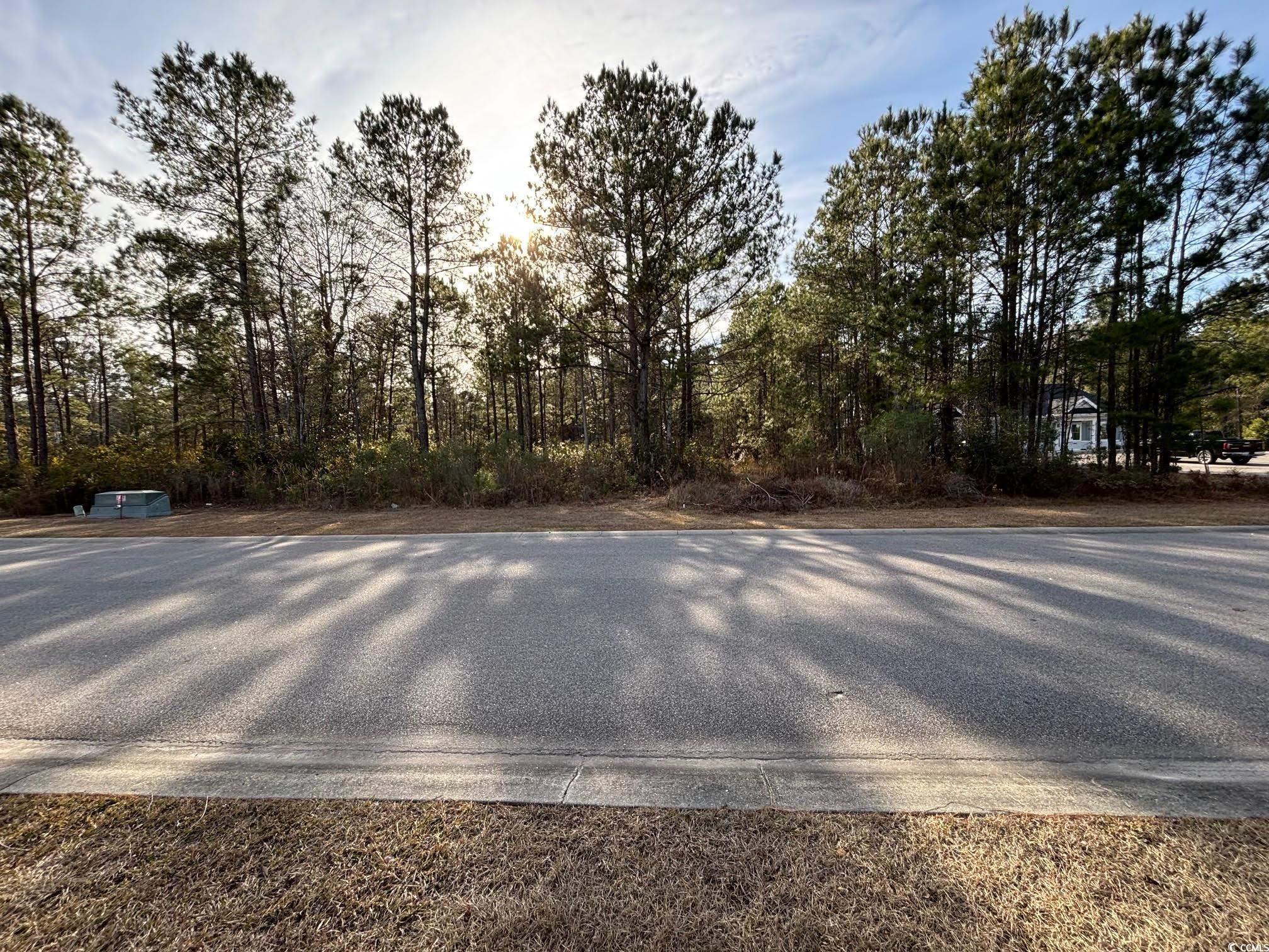 3045 New Castle Loop Property Photo 1