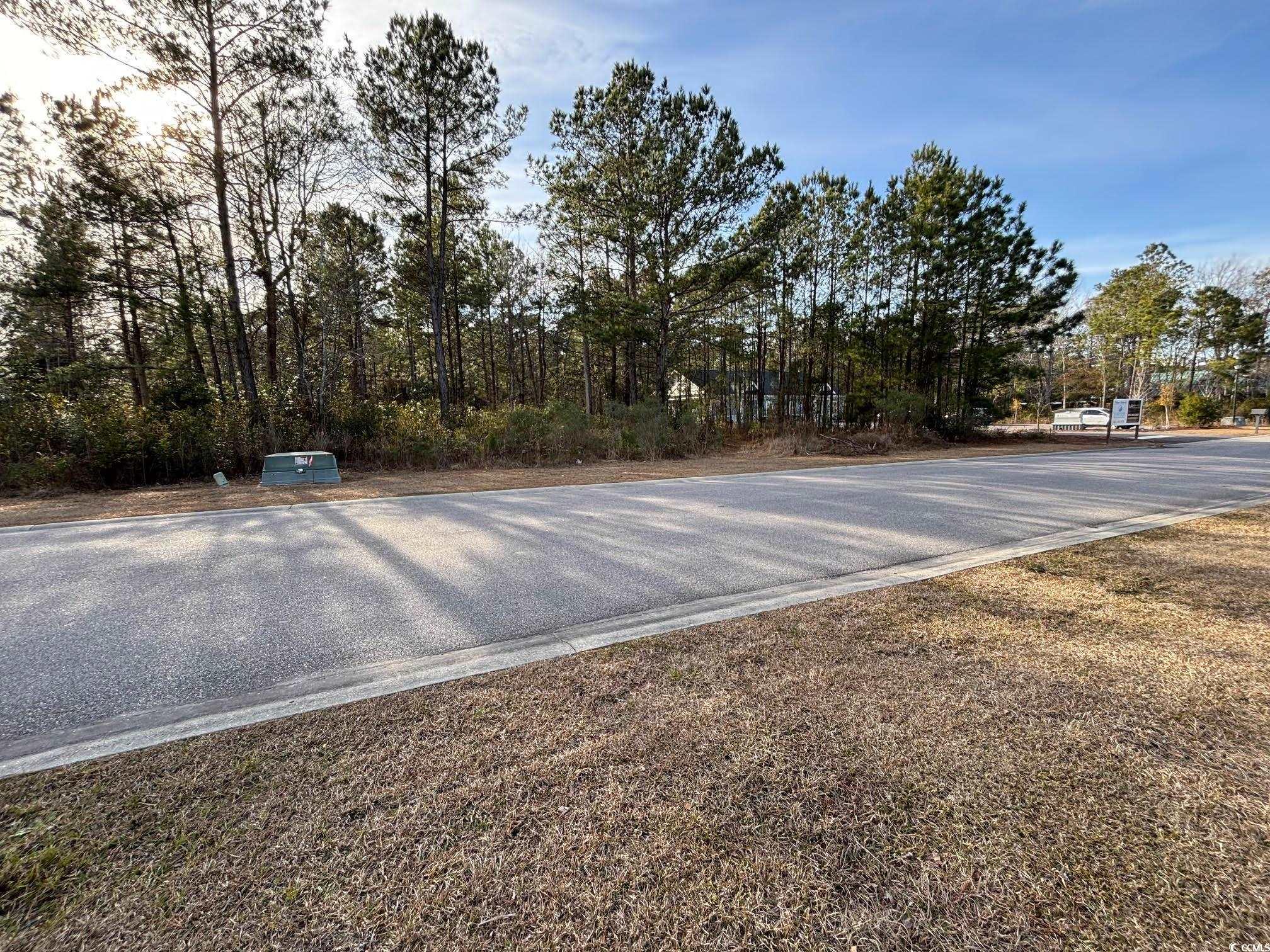 3045 New Castle Loop Property Photo 4