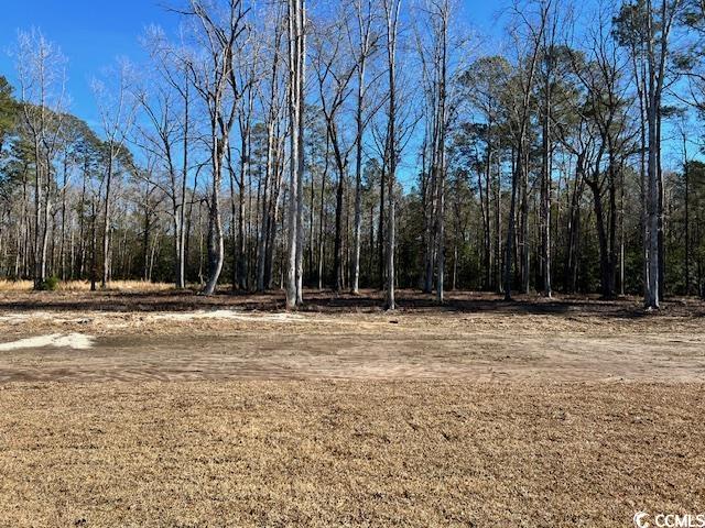 3220 Highway 19 Property Photo 3