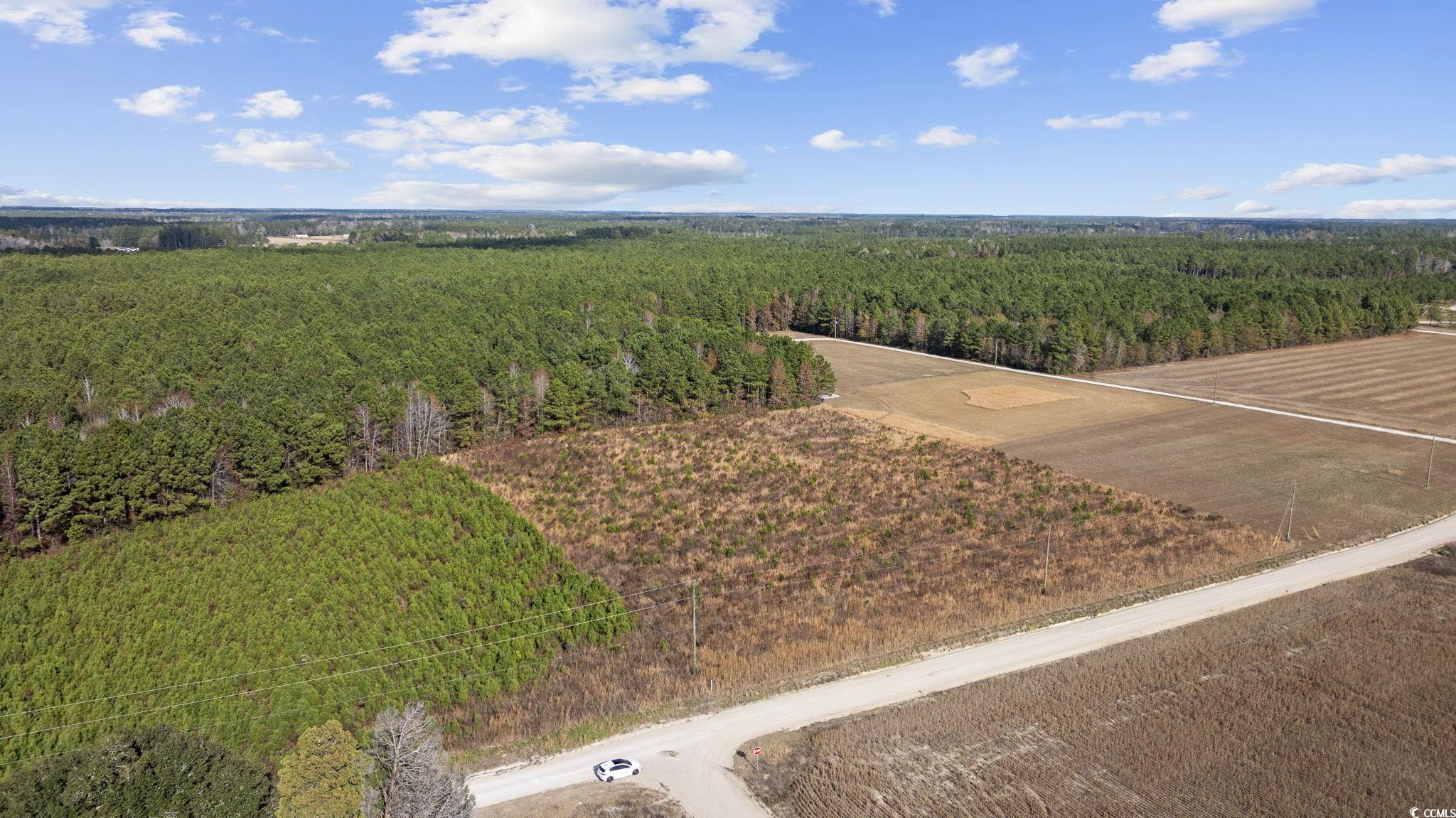 Lot 2 W G Rd. Property Photo 11