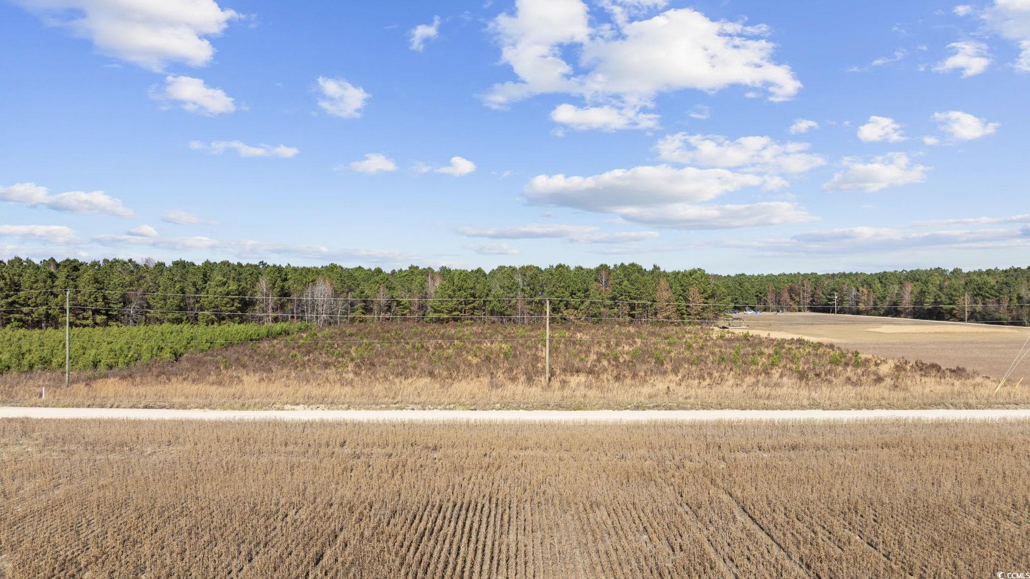 Lot 2 W G Rd. Property Photo 12