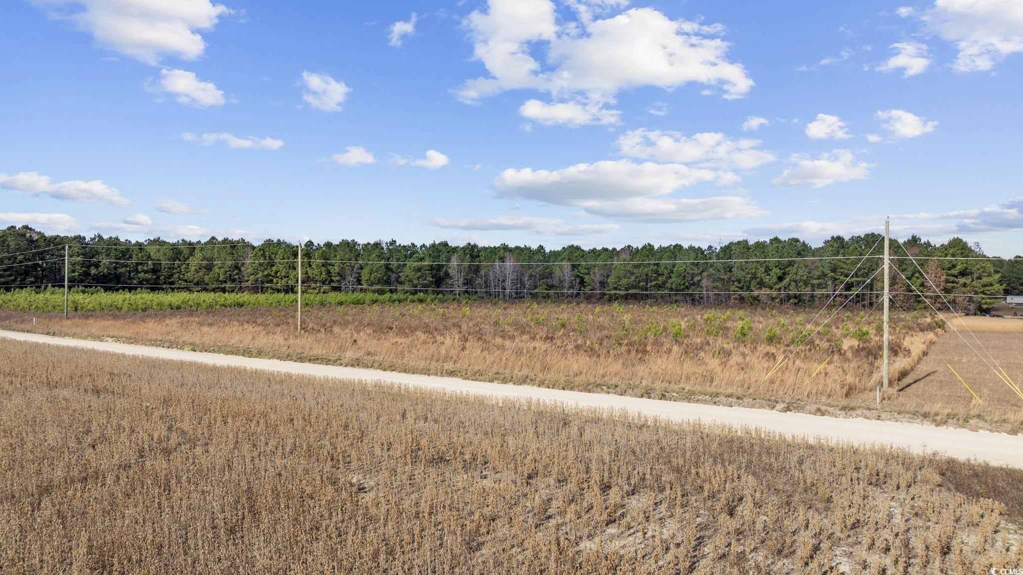 Lot 2 W G Rd. Property Photo 13