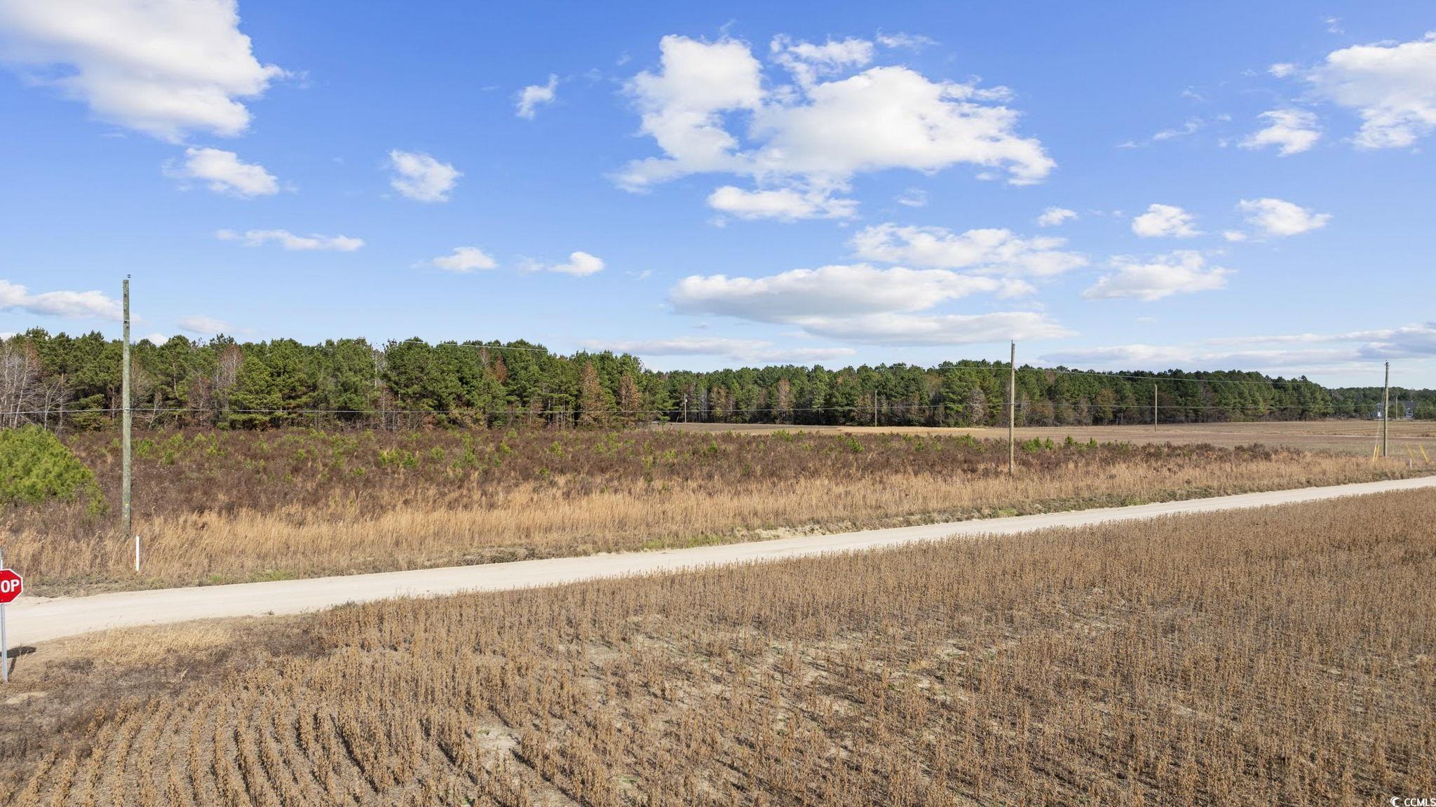 Lot 2 W G Rd. Property Photo 14