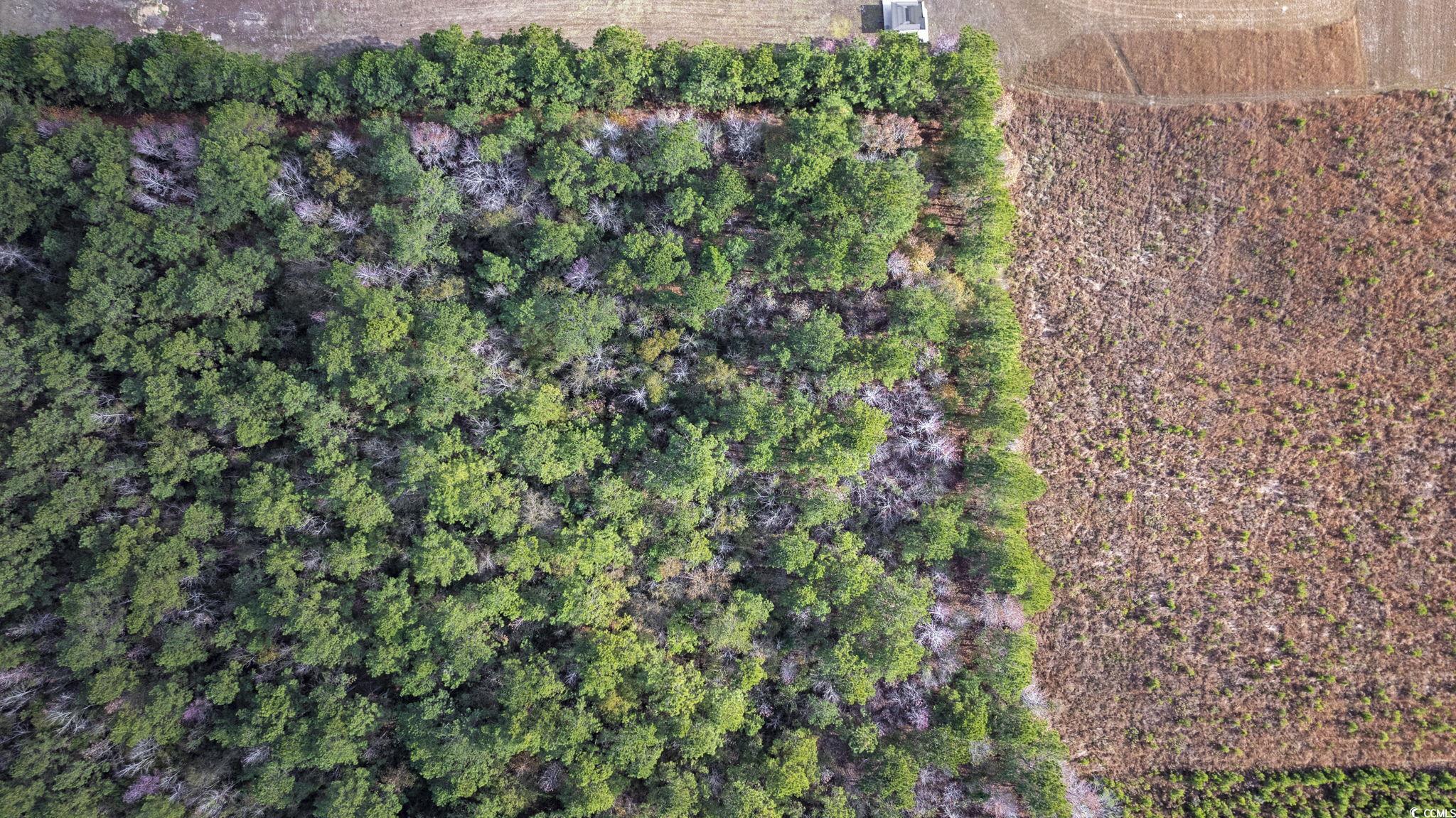 Lot 2 W G Rd. Property Photo 17