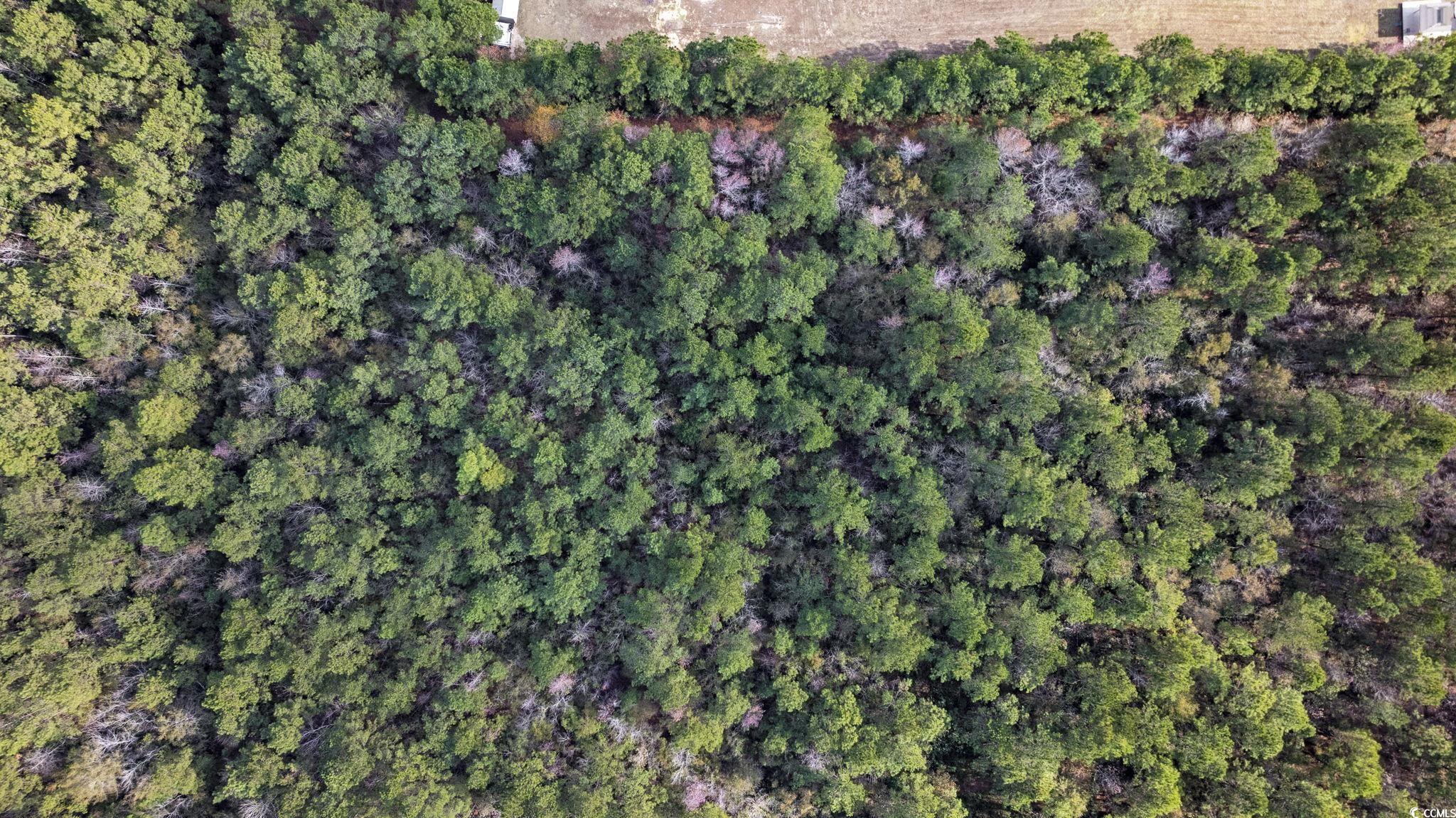 Lot 2 W G Rd. Property Photo 18