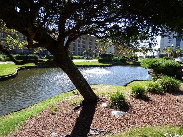 5905 S Kings Highway Property Photo 34