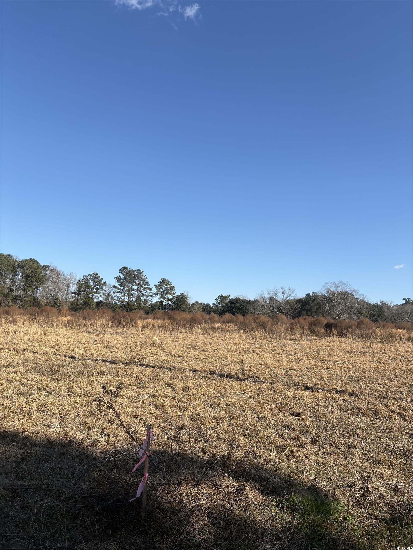 Tbd Lot 2 Jewel Ln. Property Photo 3
