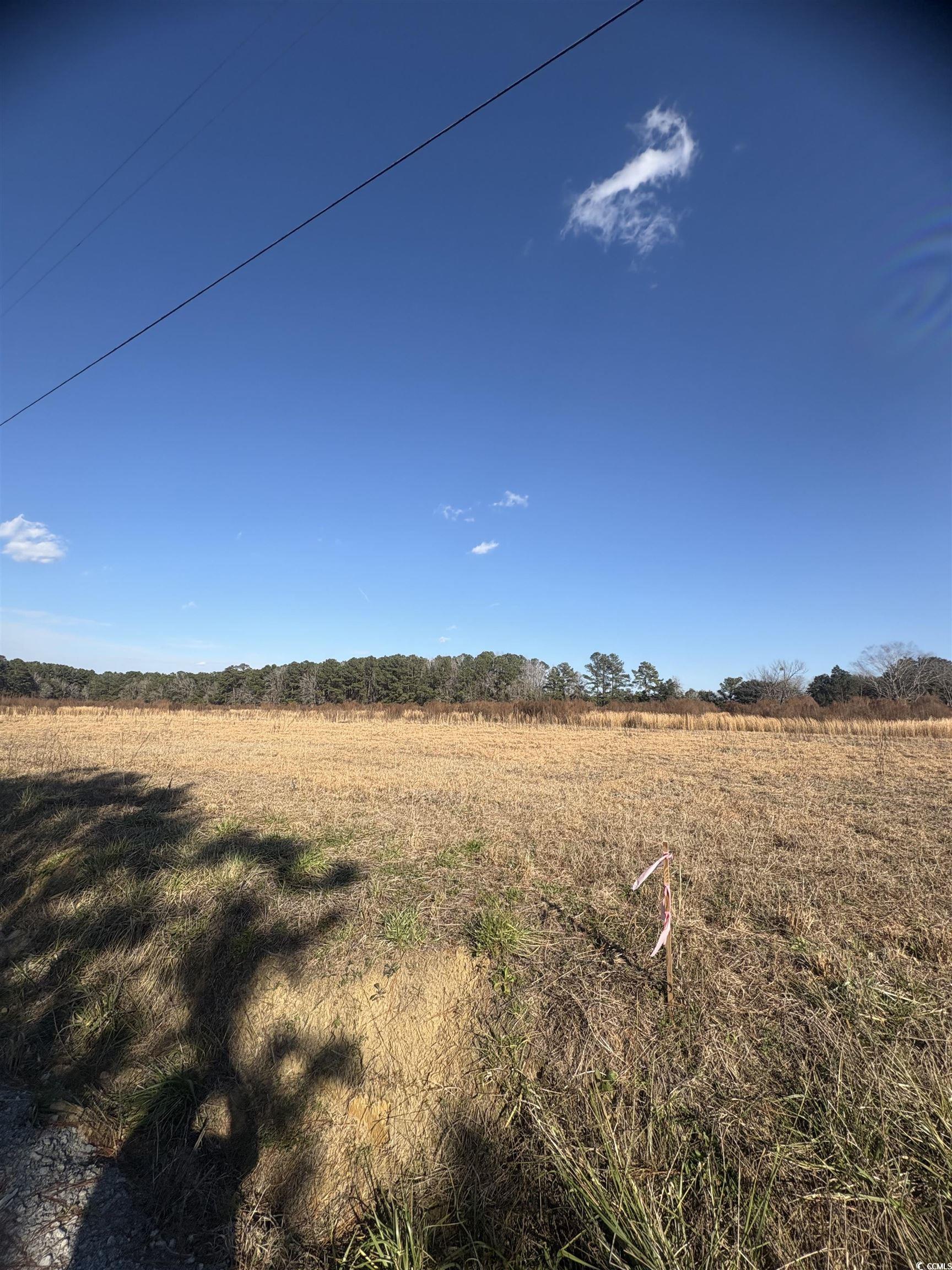 Tbd Lot 2 Jewel Ln. Property Photo 4