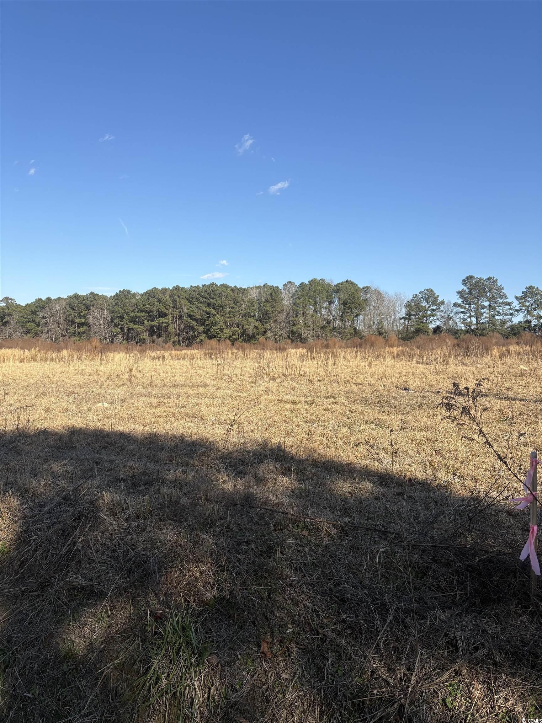 Tbd Lot 3 Jewel Ln. Property Photo 6