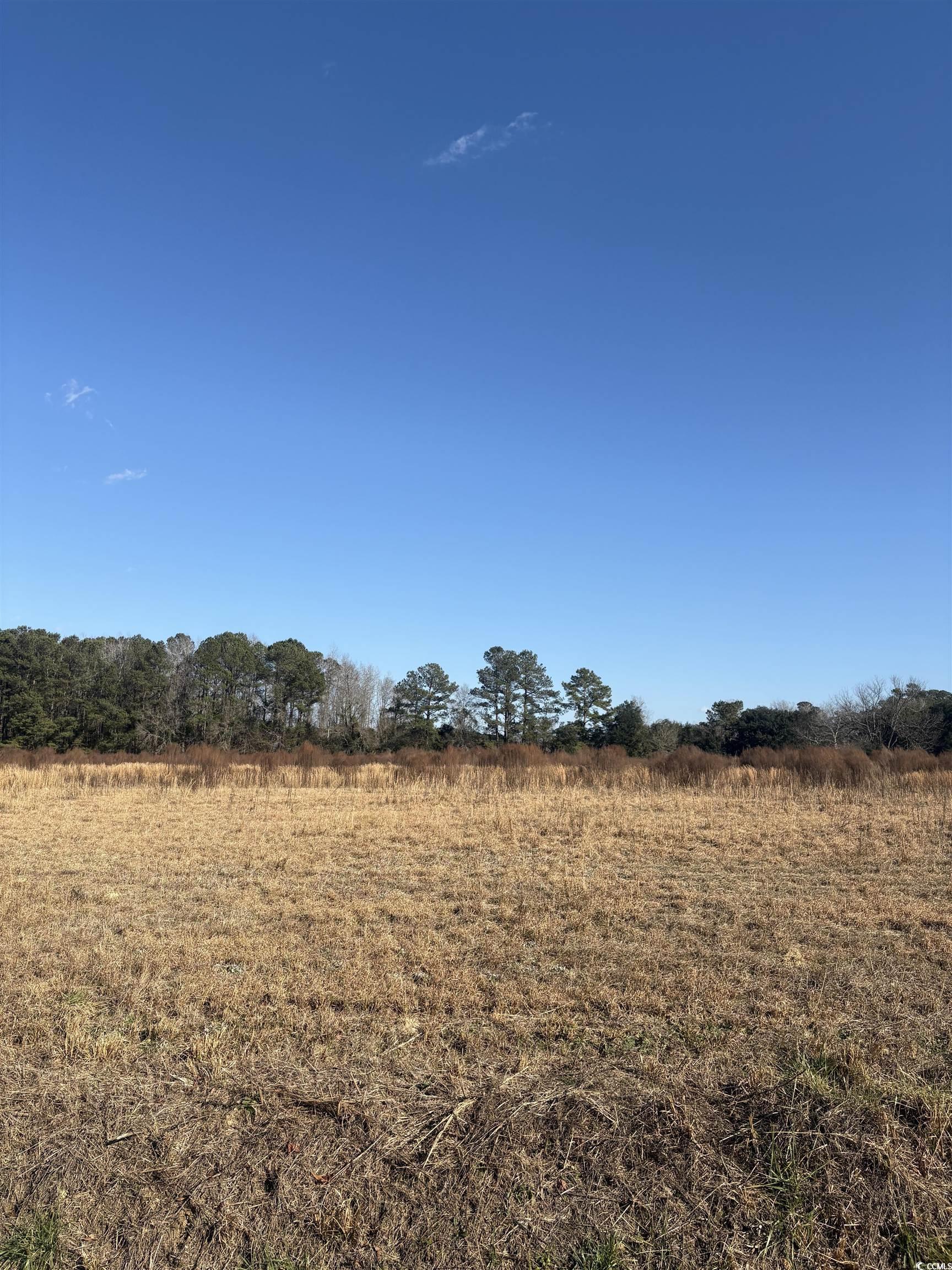 Tbd Lot 3 Jewel Ln. Property Photo 7