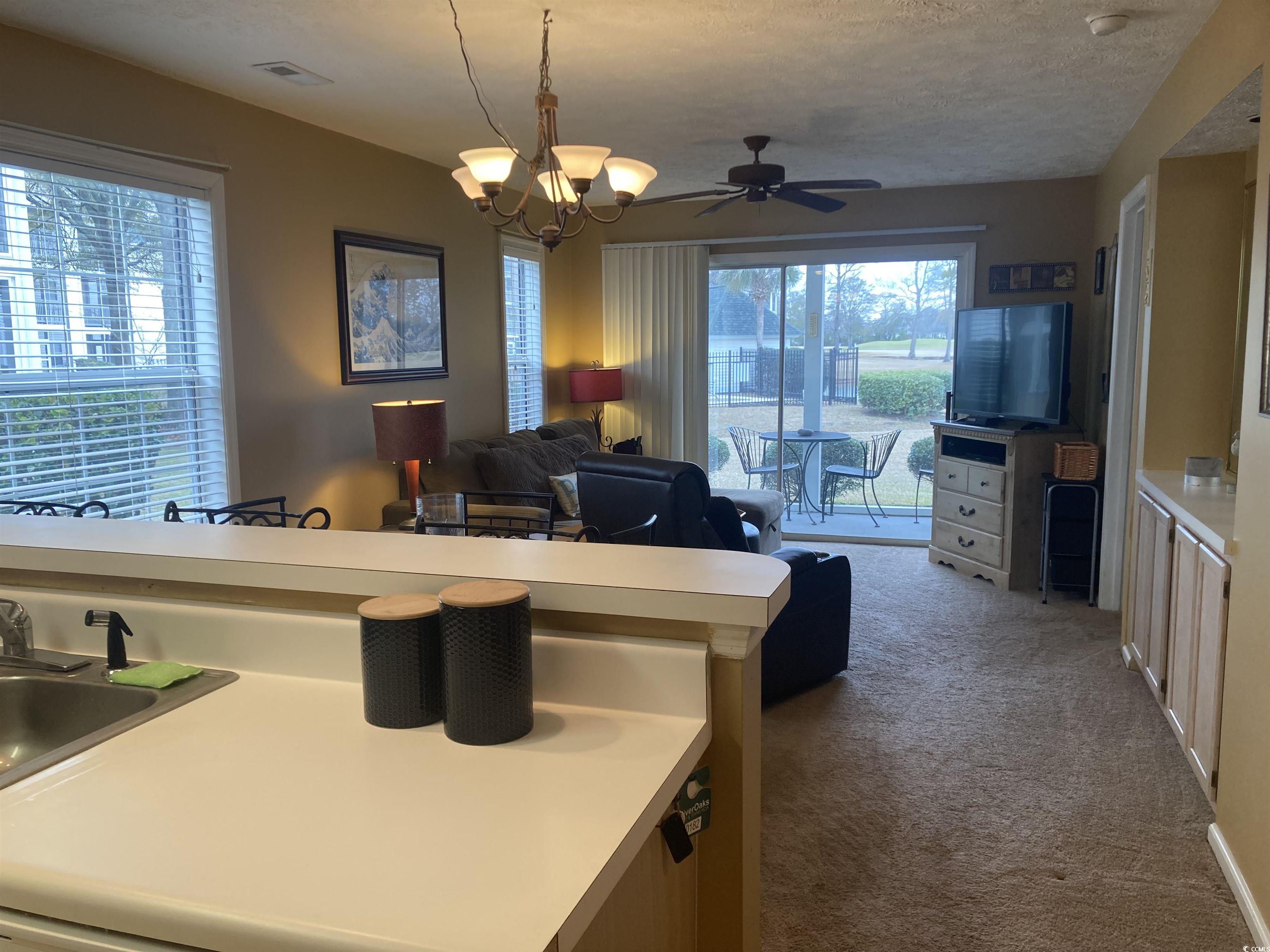 557 White River Dr. Property Photo 8