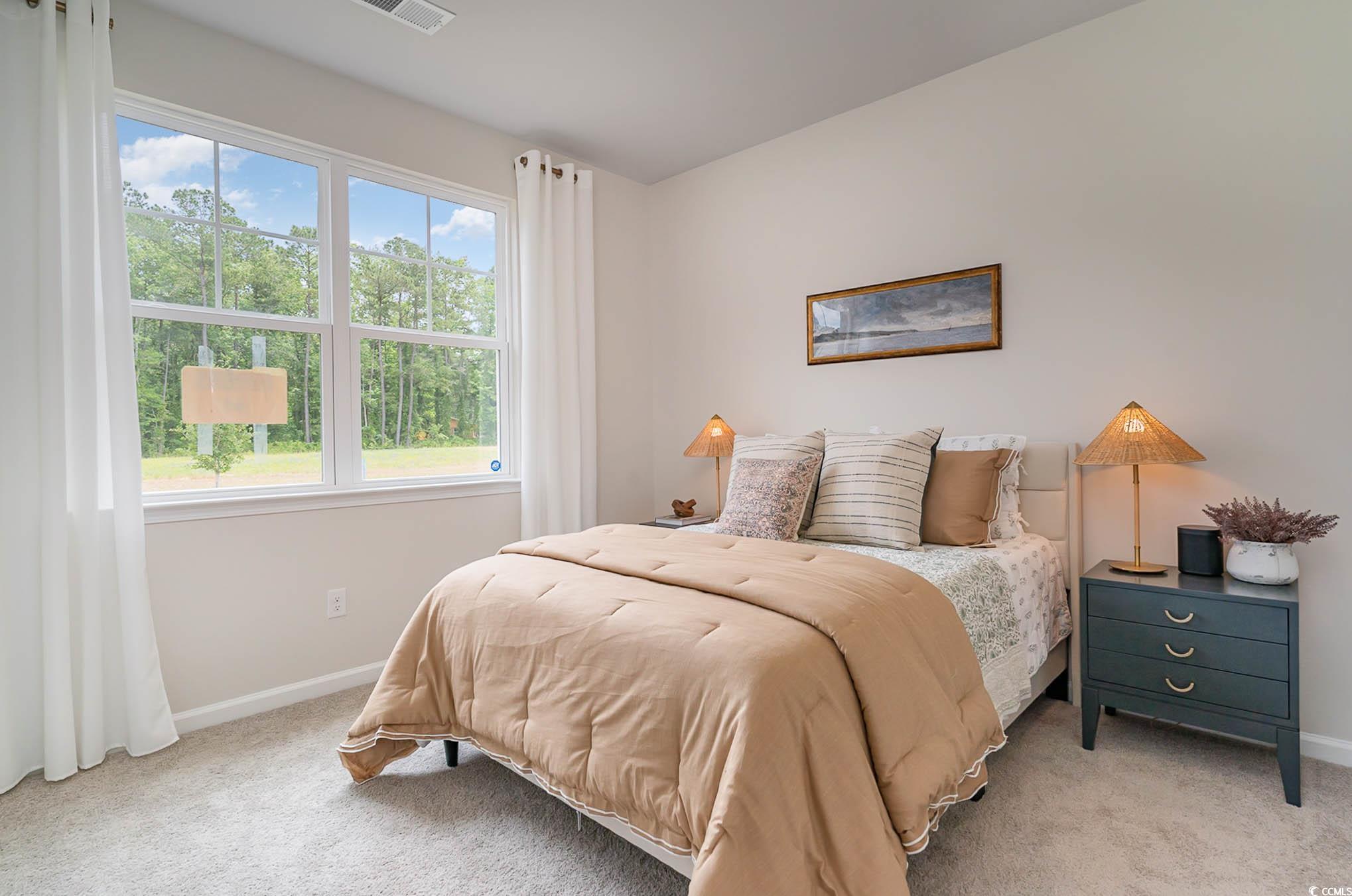 1107 Black Lake Way Property Photo 3