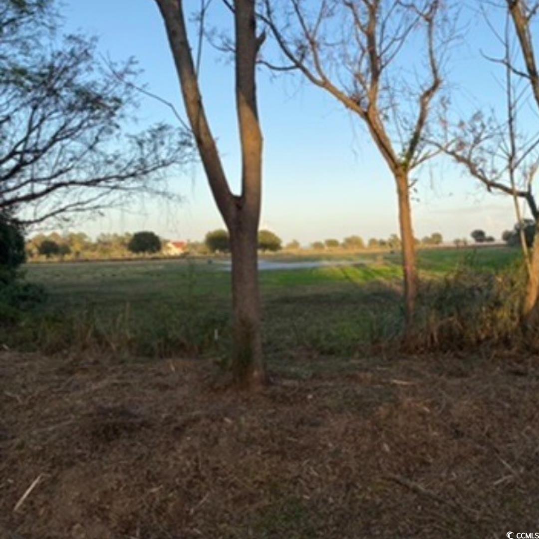 Tbd Martin Ln. Property Photo 5