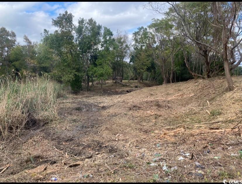 Tbd Martin Ln. Property Photo 10