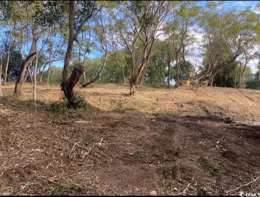 Tbd Martin Ln. Property Photo 11