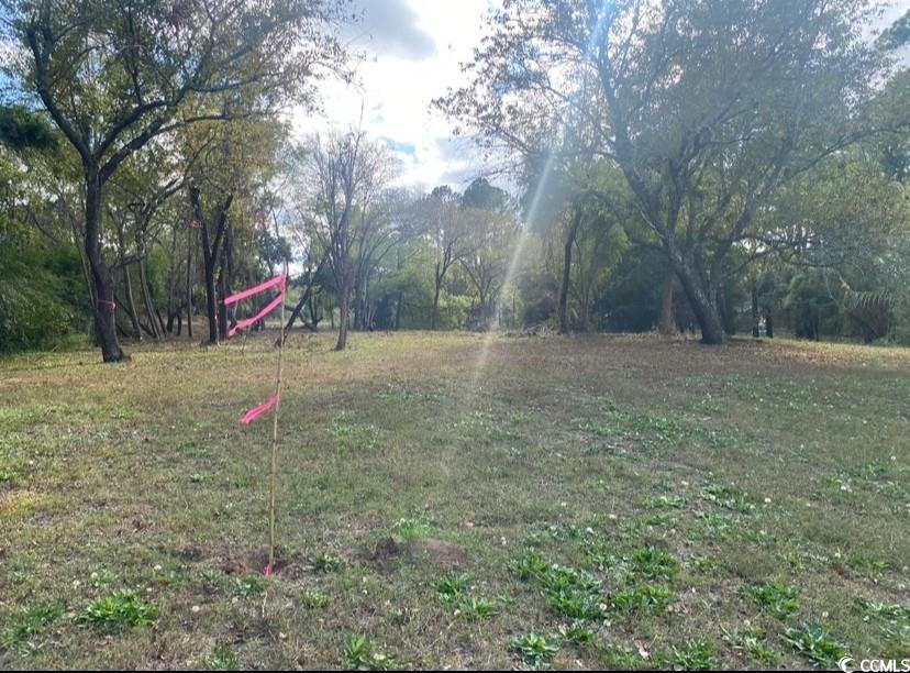 Tbd Martin Ln. Property Photo 12